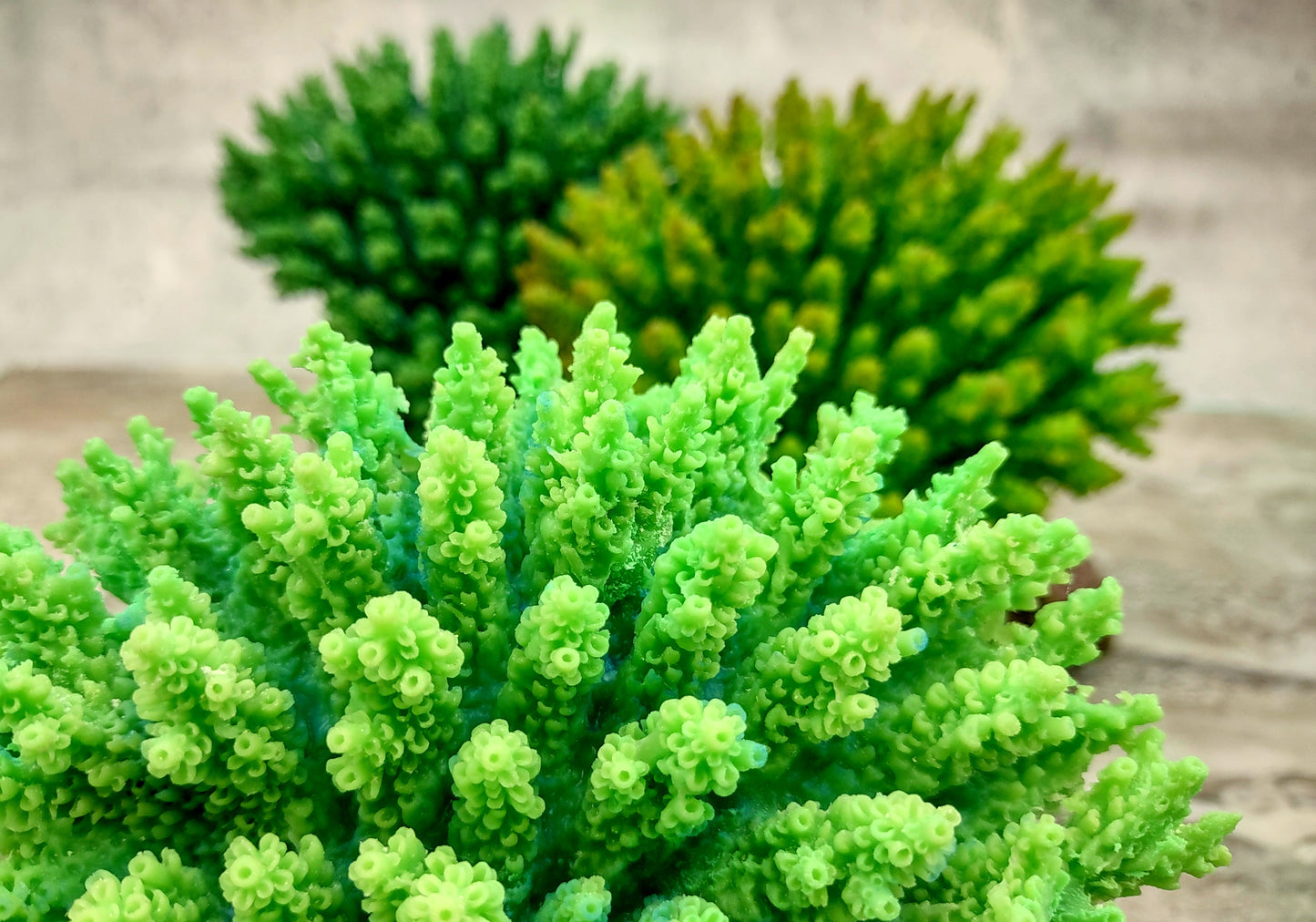 Green FAUX Table Coral - Acropora Hyacinthus - (1 FAUX Coral approx. 5Wx6Dx4T inches). Green thick fluffed coral set on rock. Copyright 2024 SeaShellSupply.co