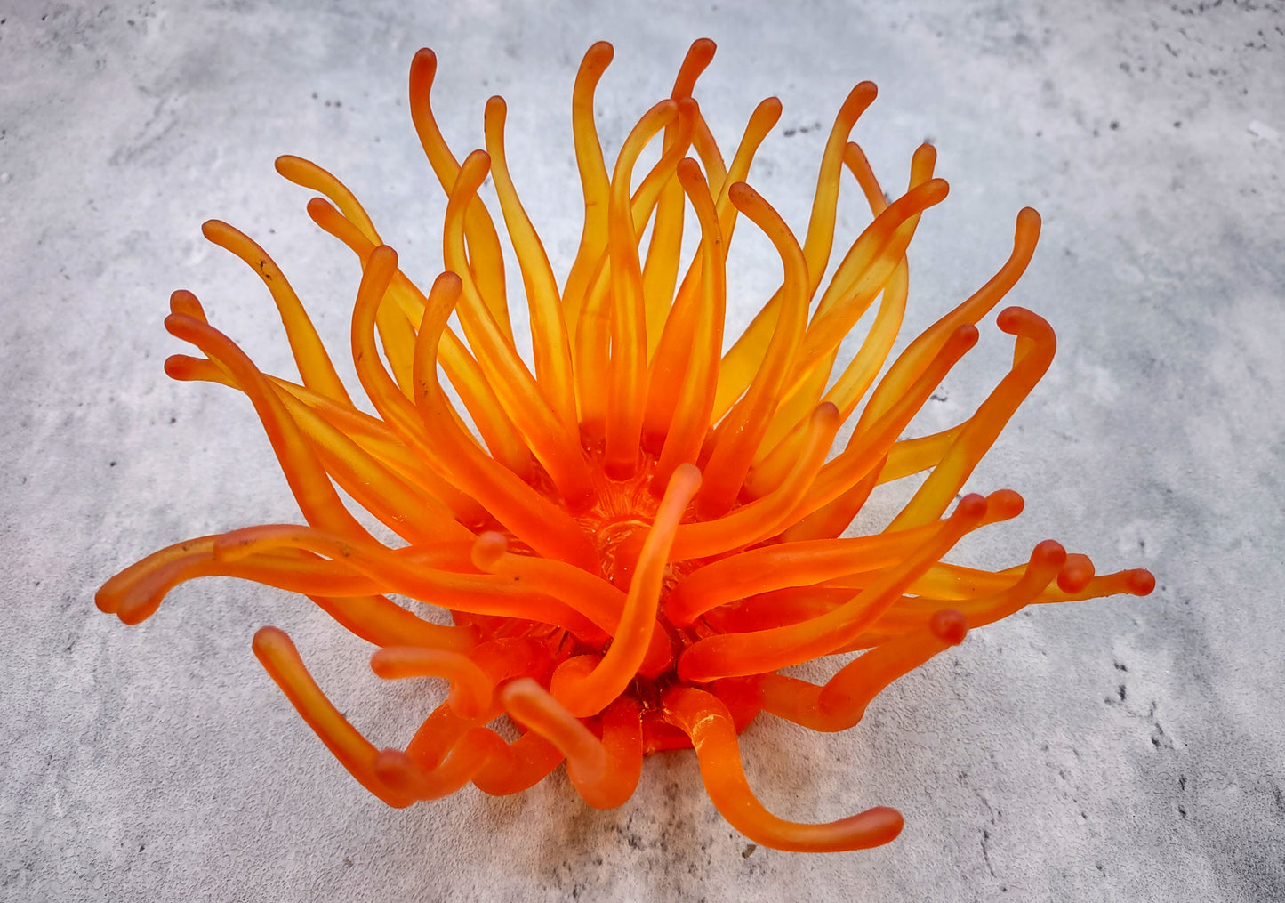 Orange FAUX Anemone - Condylactis Gigantea - (1 FAUX Anemone, Approx. 6Wx3Dx6T). Long armed orange to yellow ombre anemone with a round base. Copyright 2024 SeaShellSupply.com.