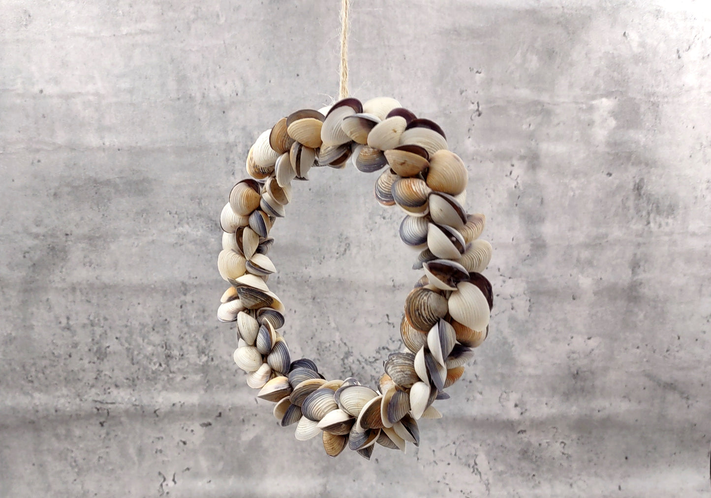 Purple White Cay Cay Seashell Round Wreath (approx. 6+ inch circle 0.75+ inch shells) Nautical Holiday Party Gift Home Décor!
