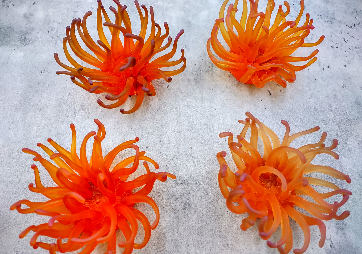 Orange/Yellow FAUX Anemone - Condylactis Gigantea - (1 FAKE Anemone approx. 5Wx2Dx5T inches) with pink tips, on light background. Copyright 2024 SeaShellSupply.com.