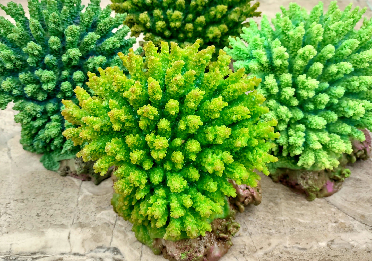 Green FAUX Table Coral - Acropora Hyacinthus - (1 FAUX Coral approx. 5Wx6Dx4T inches). Green thick fluffed coral set on rock. Copyright 2024 SeaShellSupply.co