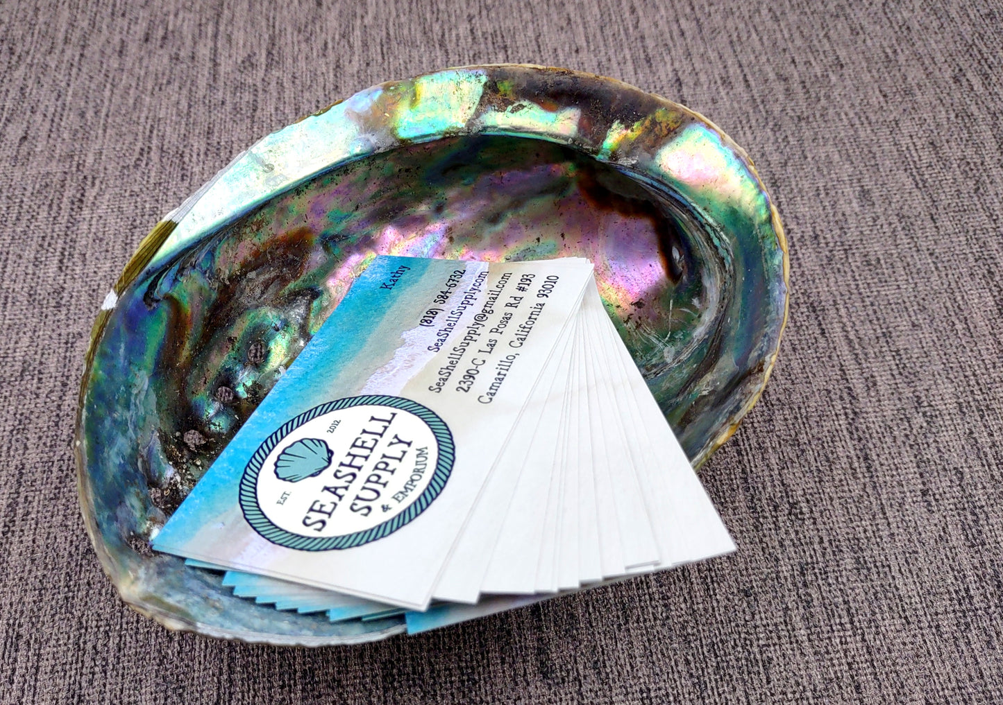 Paua Abalone Seashell Dish with Stand (1 shell approx. 5-5.5+ inches) Copyright 2024 SeashellSupply.com