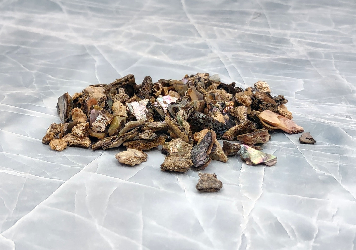 Pink Abalone Seashell Chips (approx. 0.25 cup 170+ chips 0.25+ inches) Great chip pack for coastal crafting arts & displays!