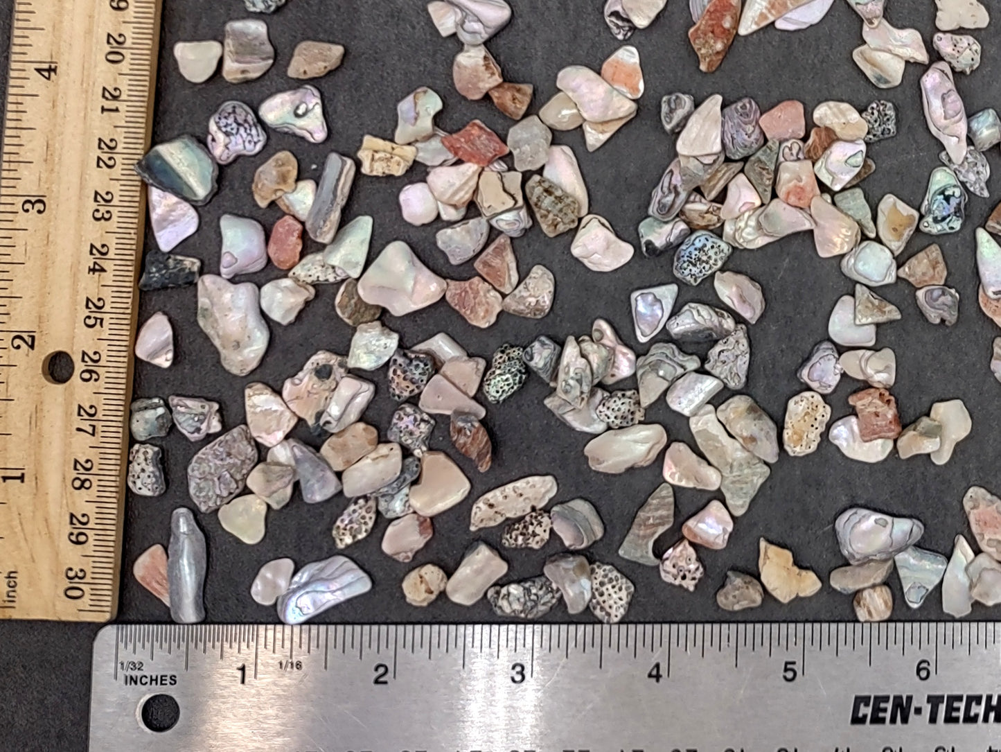 Abalone Seashell Chips (0.25 cup approx. 180+ chips 0.25+ inches) Iridescent shell chips for display crafts & collecting!
