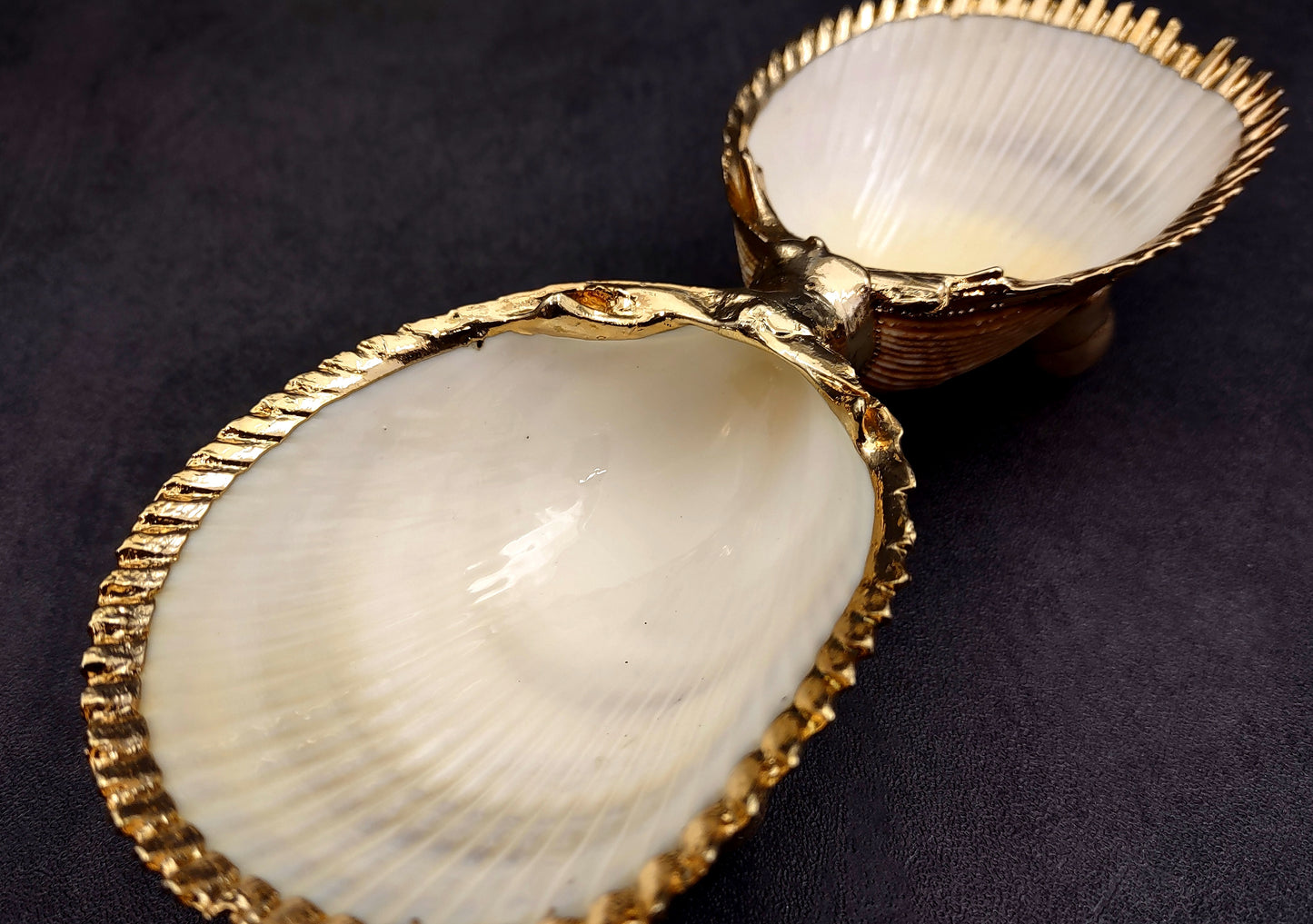 Gold-Plated Footed Duo Cockle Dish - Cardium Cardium - (1 Shell Dish approx. 6-7 inches) Two shells with gold plated decoration. Decorative retro dish. Copyright 2024 SeaShellSupply.com