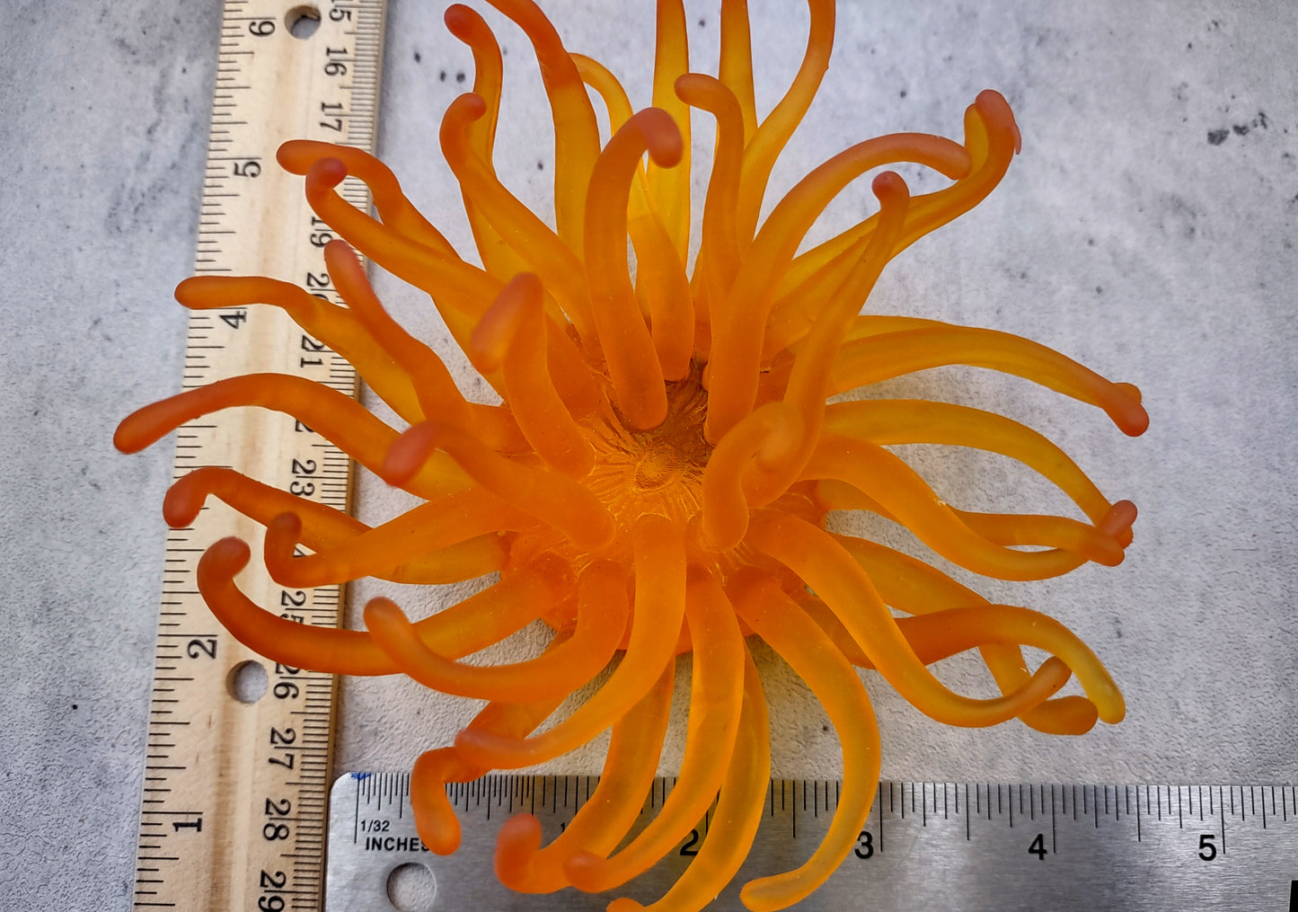 Condylactis Yellow FAUX Anemone - Condylactis Gigantea - (1 FAUX Anemone approx. 5x2.75x5 inches). Orange and yellow fake anemone with purple tipped tentacles. Copyright 2024 SeaShellSupply.com.