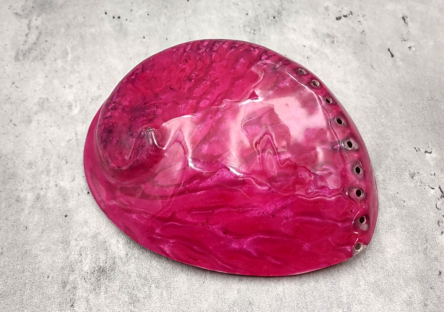 Polished Pink Midas Abalone - Haliotis Midae - (1 shell approx. 5-6 inches). One pink spiral glazed shell with wide opening and small spiral off to one side. Copyright 2022 SeaShellSupply.com.