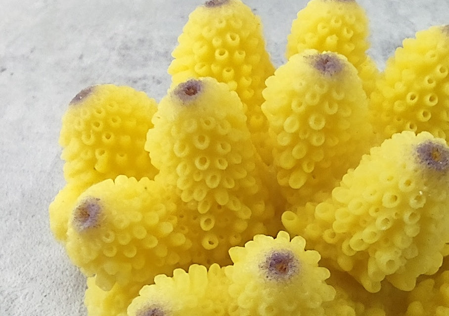 Yellow Cluster FAUX Coral - Acropora Monticulosa - (1 Fake Coral approx. 2Wx3Dx2T) on grey background. Copyright 2022 SeaShellSupply.com.