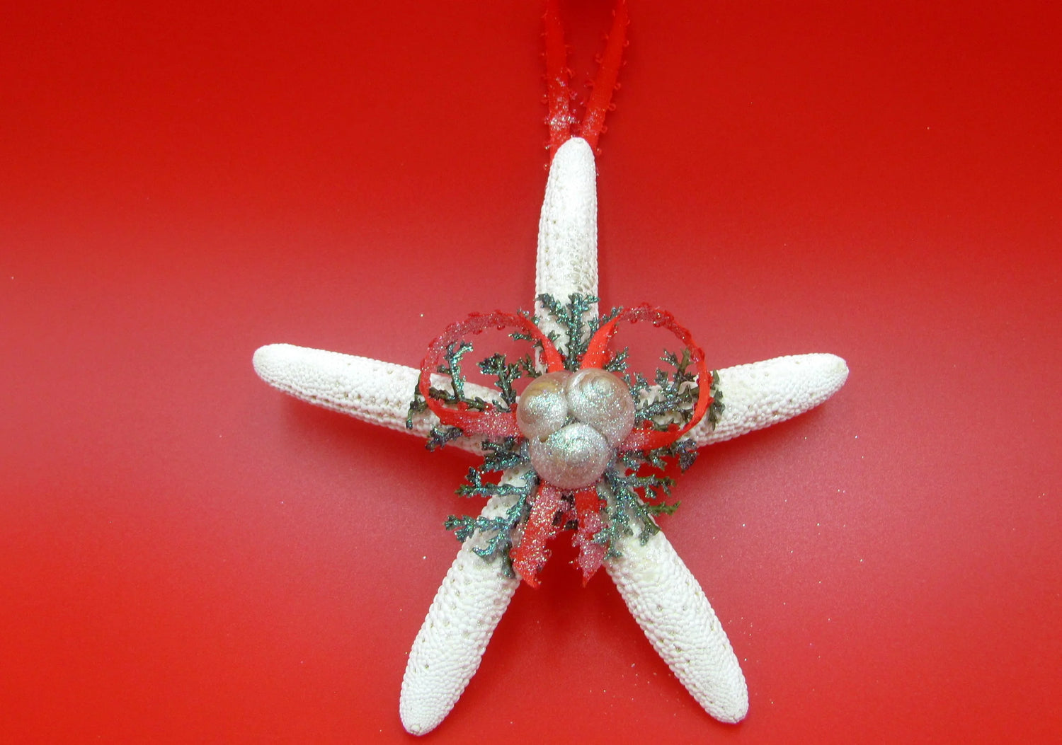 Seasonal Beach Decor & Ornaments