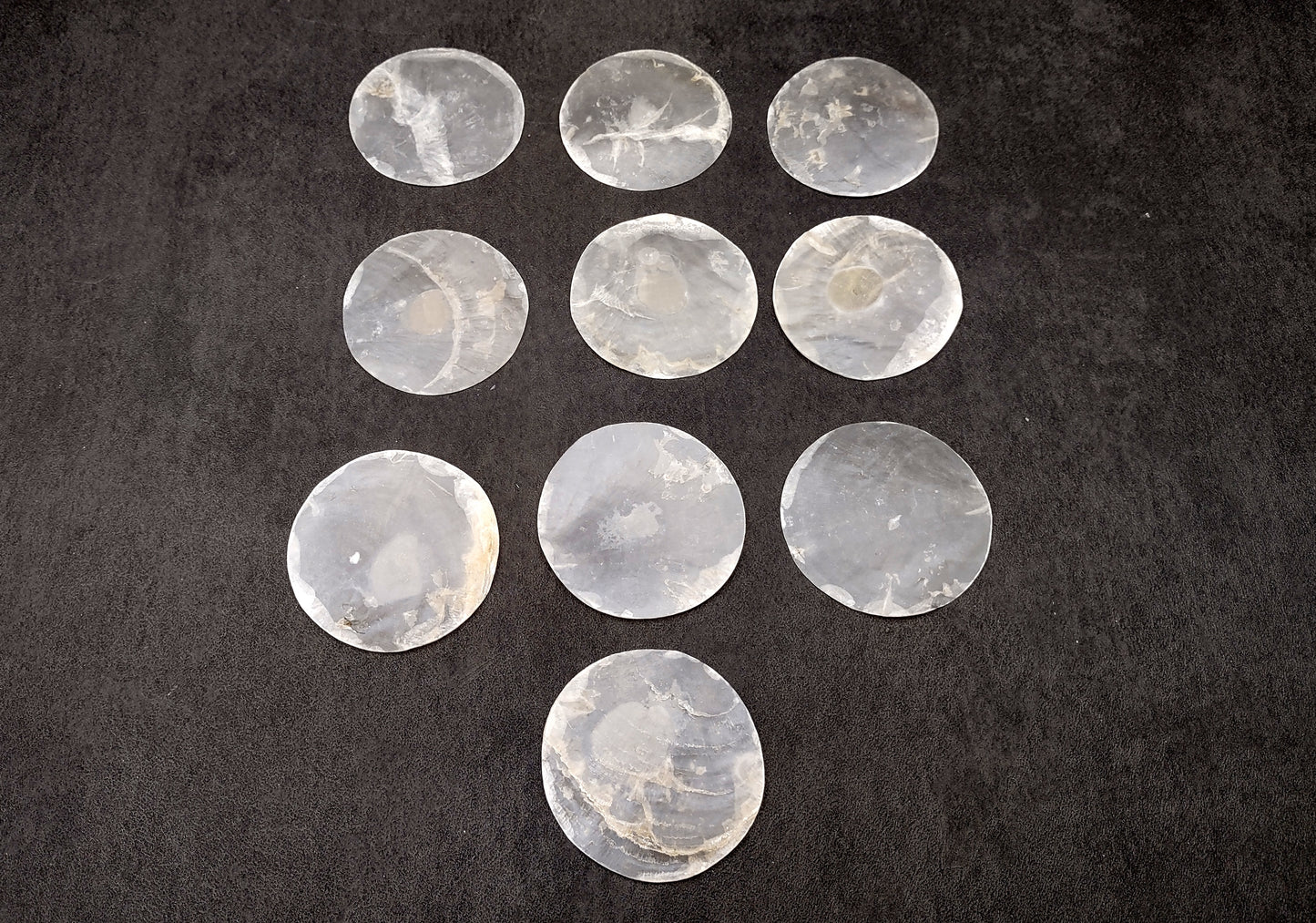 Capiz Round Cut Seashells Placuna Placenta (10 shells approx. 2+ inches) Swell shells for coastal crafting décor & collections!