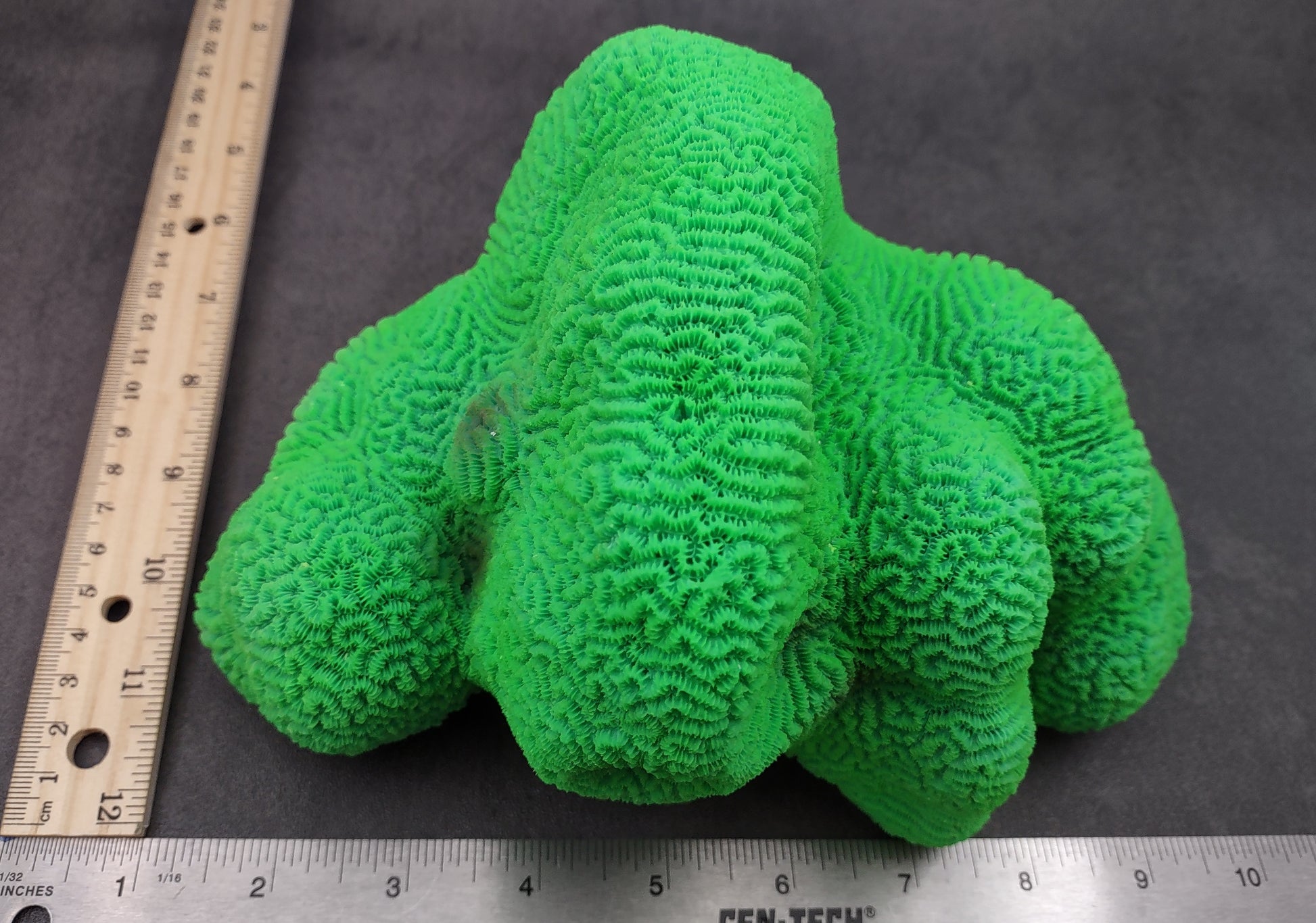Bright Green FAUX Brain Coral - Lobophyllia Hemprichii - (1 FAUX Coral approx. 8.5x5x5.5 inches). Green almost squishy looking maze patterned coral known as brain coral. Copyright 2024 SeaShellSupply.com.