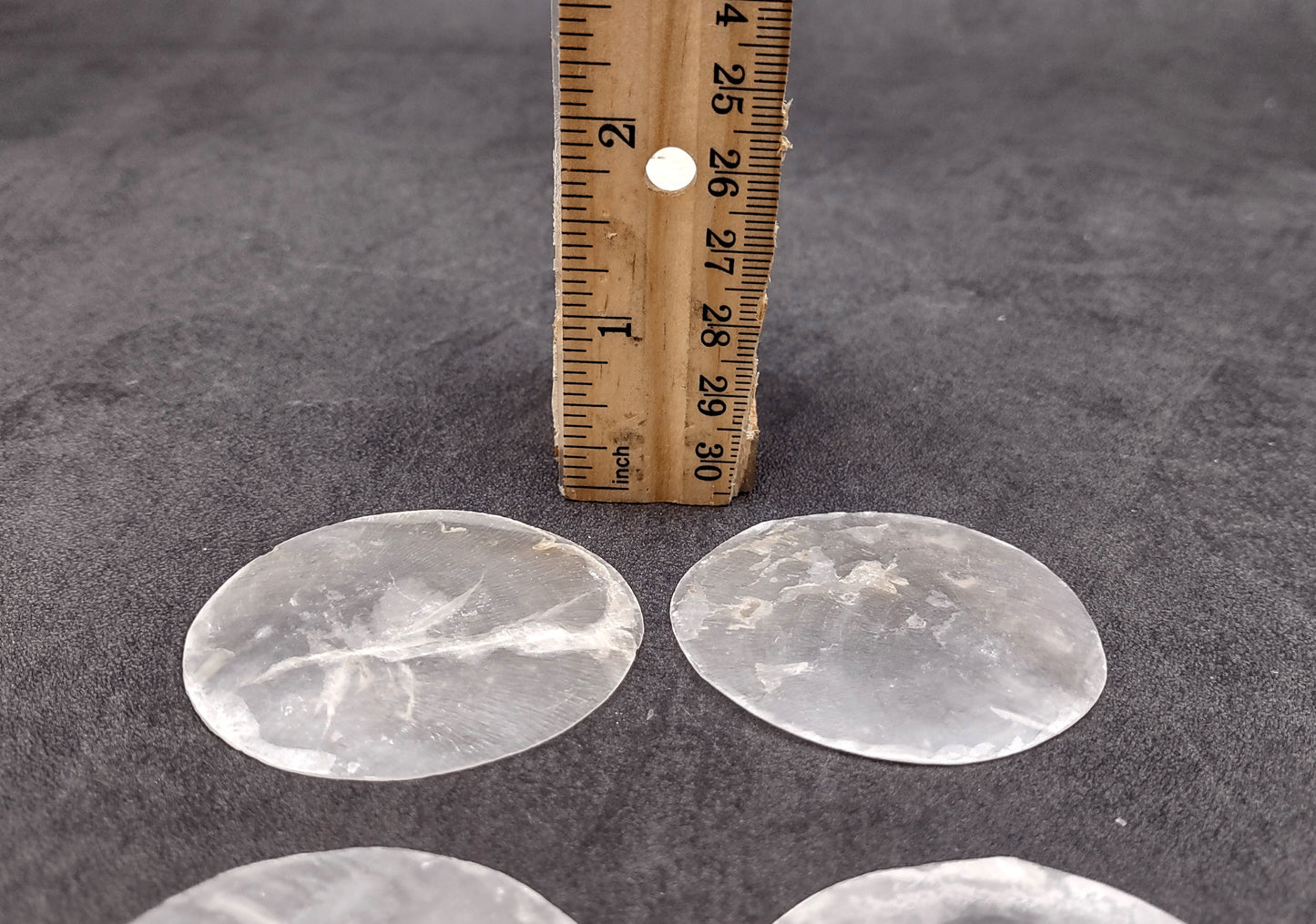 Capiz Round Cut Seashells Placuna Placenta (10 shells approx. 2+ inches) Swell shells for coastal crafting décor & collections!