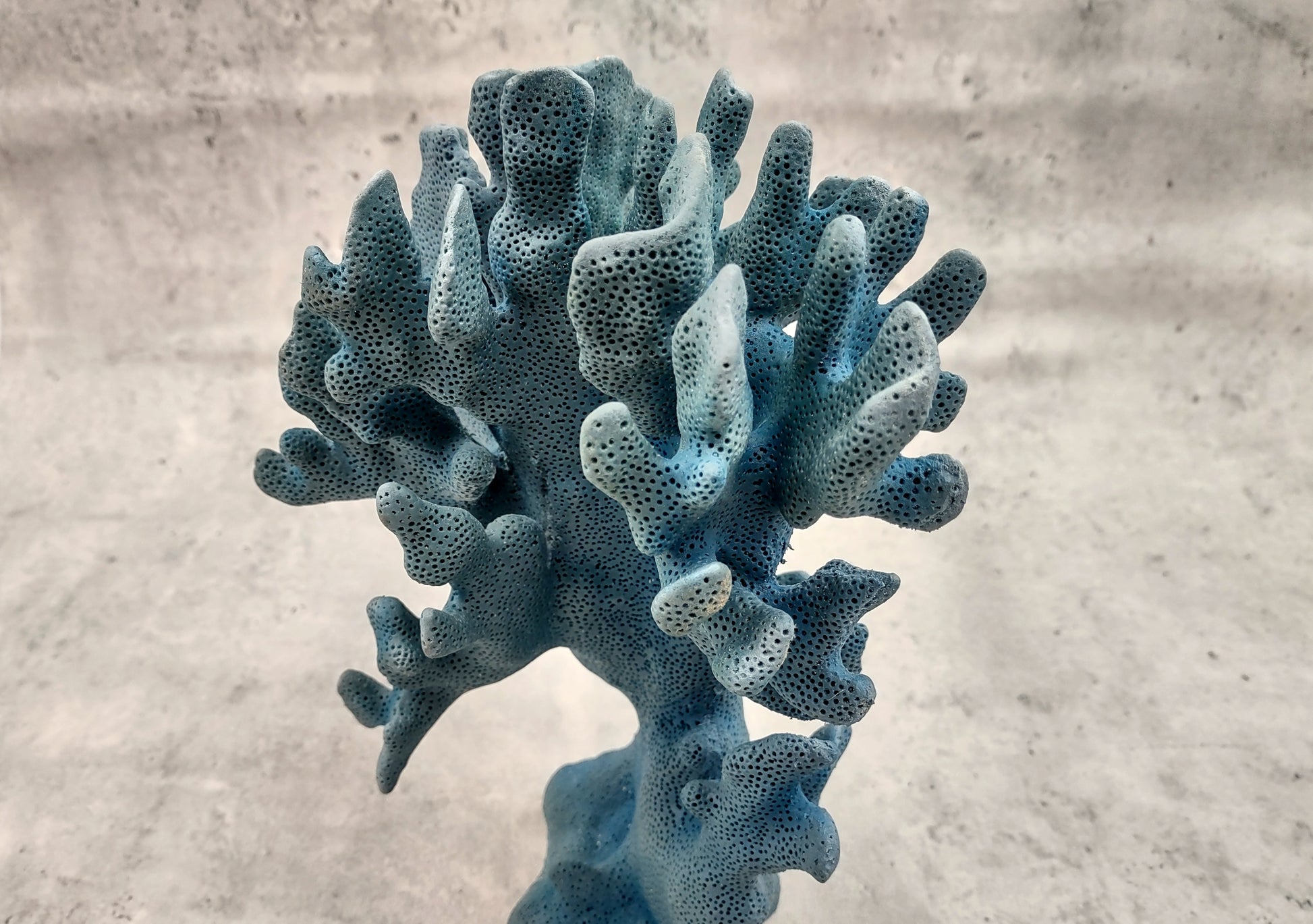 Blue Ridge FAUX Coral - Helio Coerula - (1 FAUX Coral approx. 8Wx4Dx6T inches). Blue coral with a deep texture and wide sturdy base. Copyright 2024 SeaShellSupply.com.
