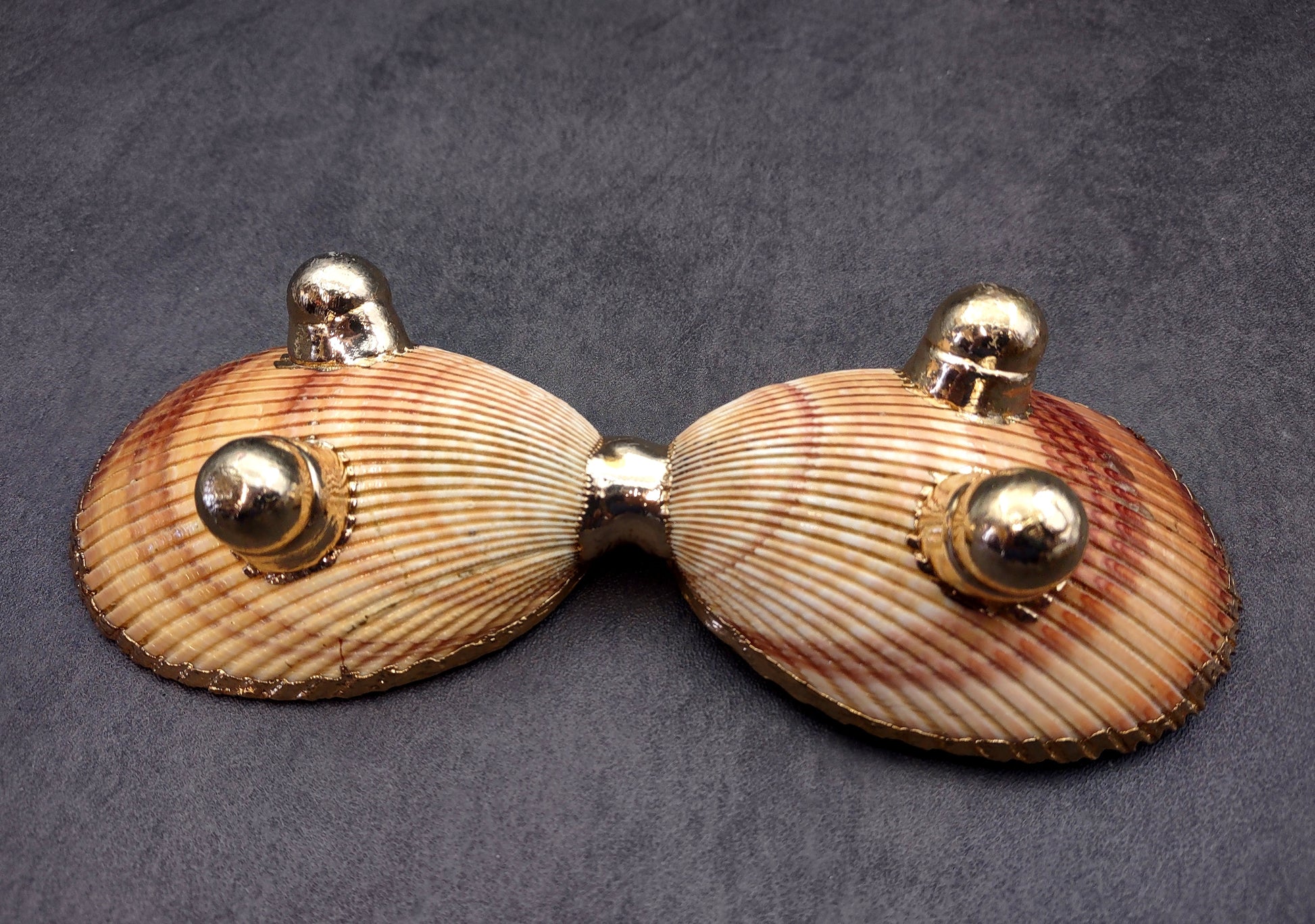 Gold-Plated Footed Duo Cockle Dish - Cardium Cardium - (1 Shell Dish approx. 6-7 inches) Two shells with gold plated decoration. Decorative retro dish. Copyright 2024 SeaShellSupply.com
