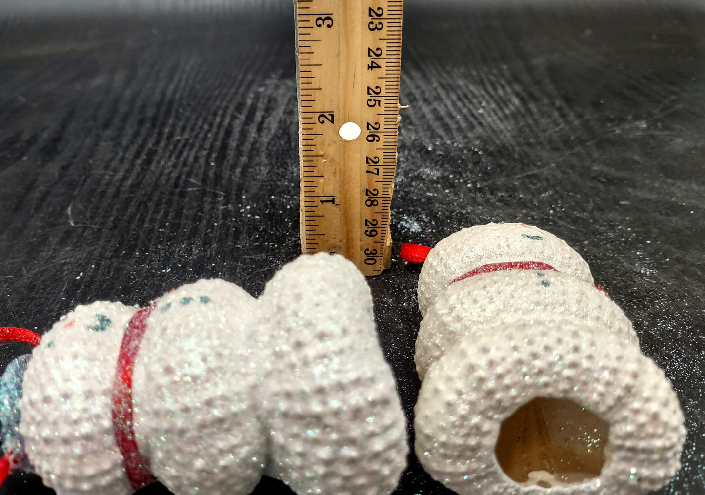 Sea Urchin Snowman Ornament (1 urchin snowman approx. 3+ inches) Beautiful ornament for any gifting or adding to the holidays!