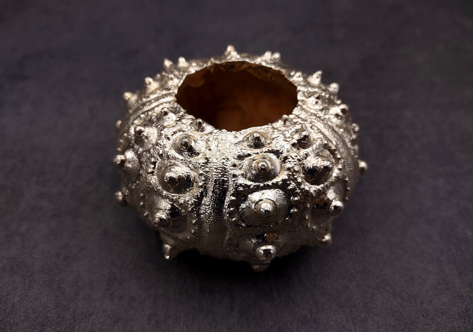 Silver-Plated Sputnik Urchin - Phyllacanthus imperialis - (1 Urchin approx. 2.5-3 inches) One silver plated urchin shell. Copyright 2024 SeaShellSupply.com