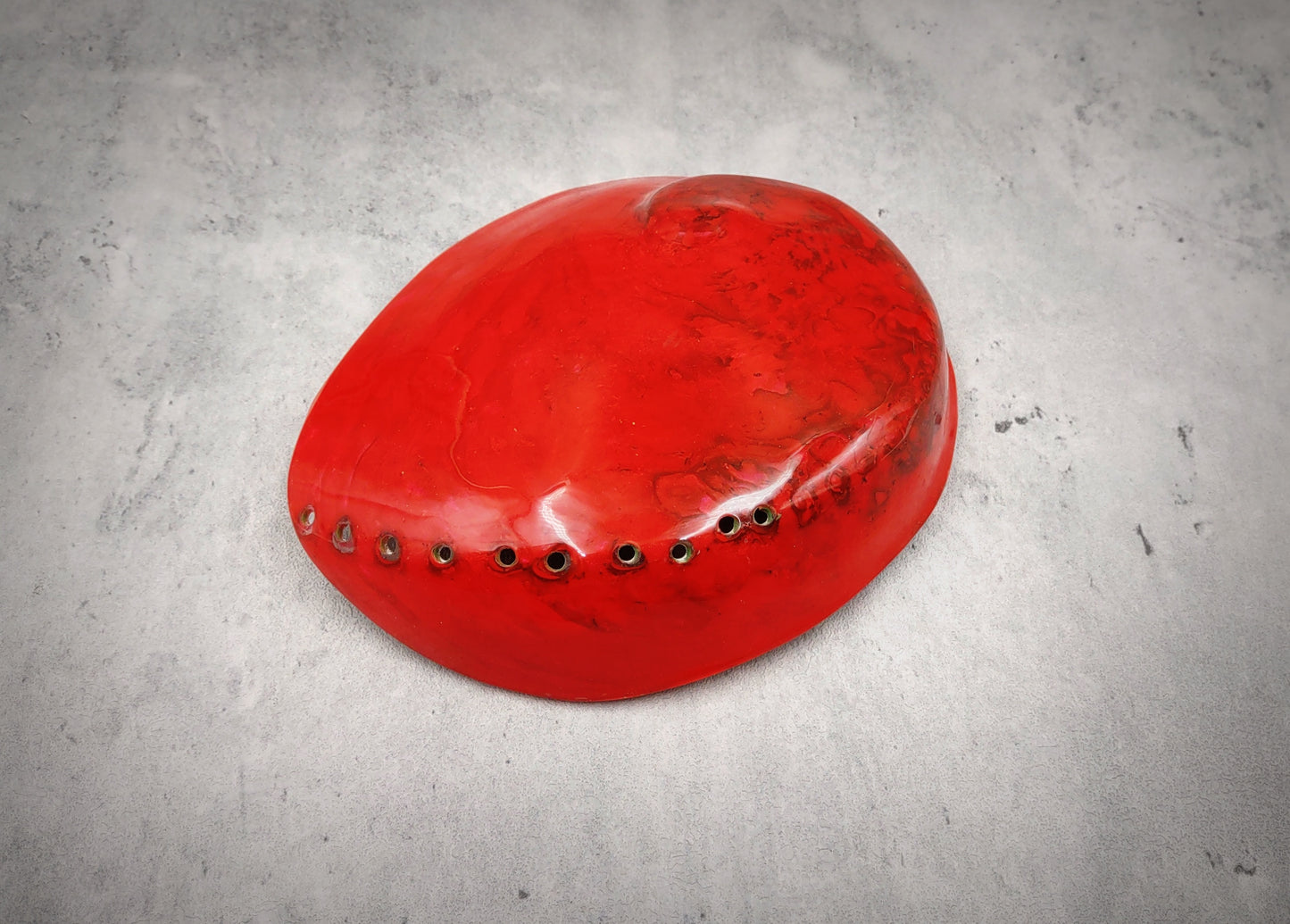 Polished Solid Dyed Red Abalone Midas Seashell Haliotis Midae (1 shell approx. 5+ inches) Red Abalone shell for display arts & crafts!