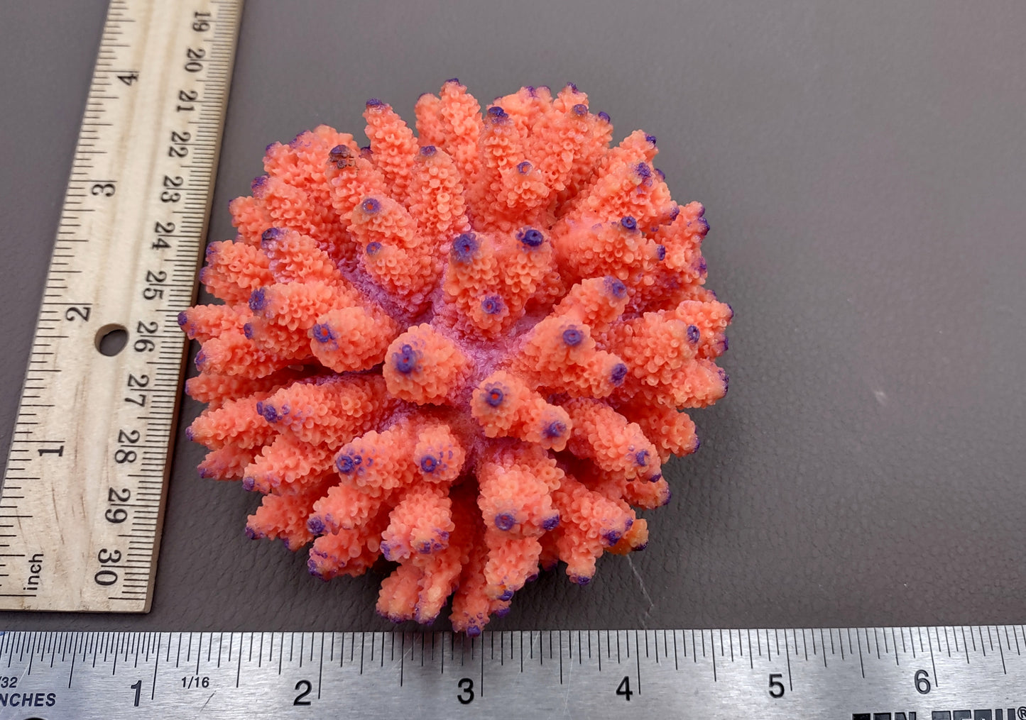 Orange FAUX Finger Coral Acropora Nasuta (1 FAKE Coral approx. 4Wx3Tx4D inches) Perfect coral for any coastal display! Orange round spike coral with a purple tip. Copyright 2024 SeaShellMart.com.