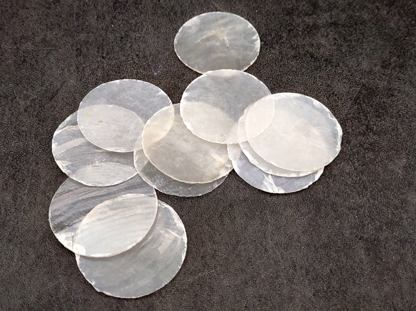 Capiz Round Cut Shells Placuna Placenta (10 approx. 1.5+ inches) Perfect shells for coastal crafting décor & collections! white translucent round thin sheets. Copyright 2024 SeaShellSupply.com