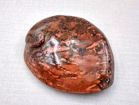 Polished Copper Midas Abalone Midae Abalone (1 shell approx. 5+ inches) Polished fun copper shells great for crafting! Brown striped glazed wide spiral shell. Copyright 2024 SeaShellMart101.com
