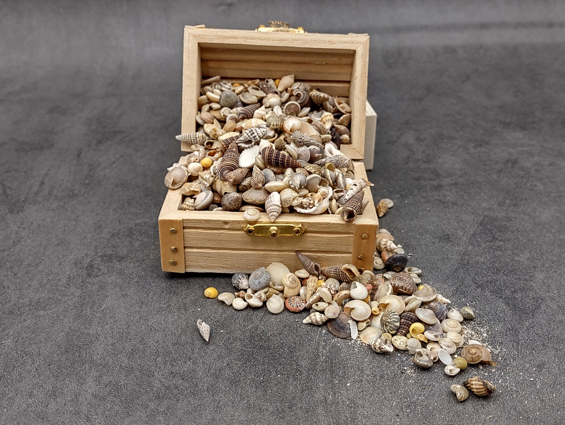 Ocean Mix Tiny Seashells (approx. 750-800 shells .25-.625 inches). Multiple colored shells with different patterns in an intricate pile. Copyright 2022 SeaShellSupply.com.