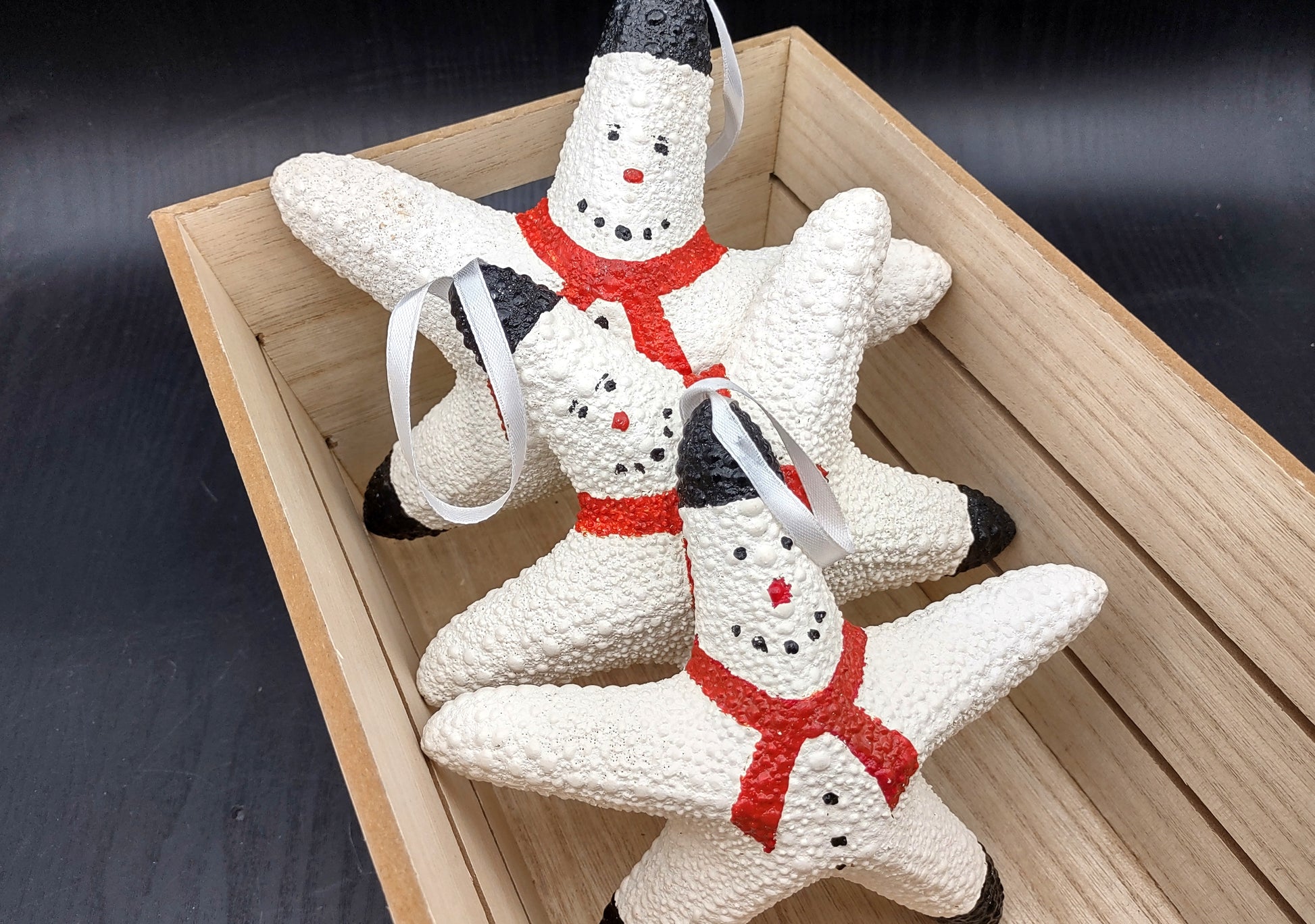 Jungle Starfish Snowman Jungle Starfish Ornament (1 seastar approx. 6+ inches) Real Festive Starfish Xmas Hanging Ornament! Copyright 2024 SeaShellMart.com