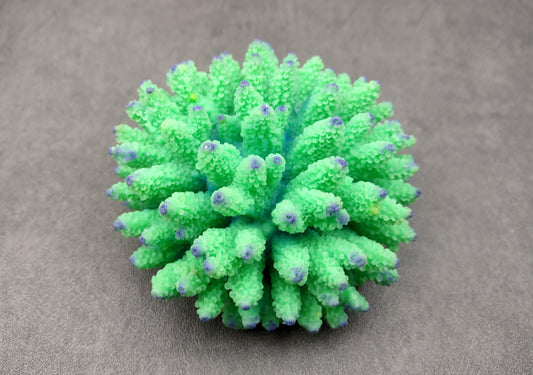Green FAUX Finger Coral - Acropora Nasuta - (1 FAUX Coral approx. 4Wx3Tx4D inches) on light background. Copyright 2024 SeaShellSupply.com.