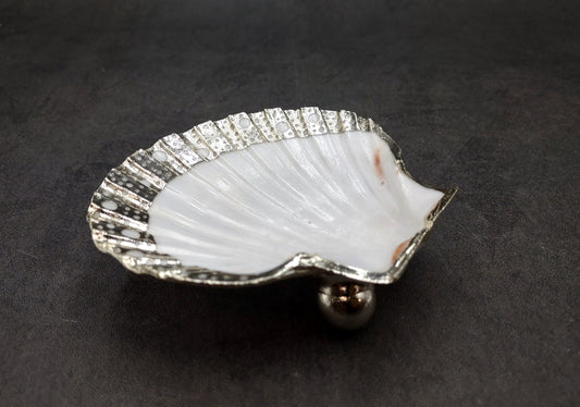 Silver Edged Scallop Seashell Dish Pecten Maximus (1 dish approx. 4.5+ inches) CIRCLE PATTERN scallop shell dish for a coastal home!