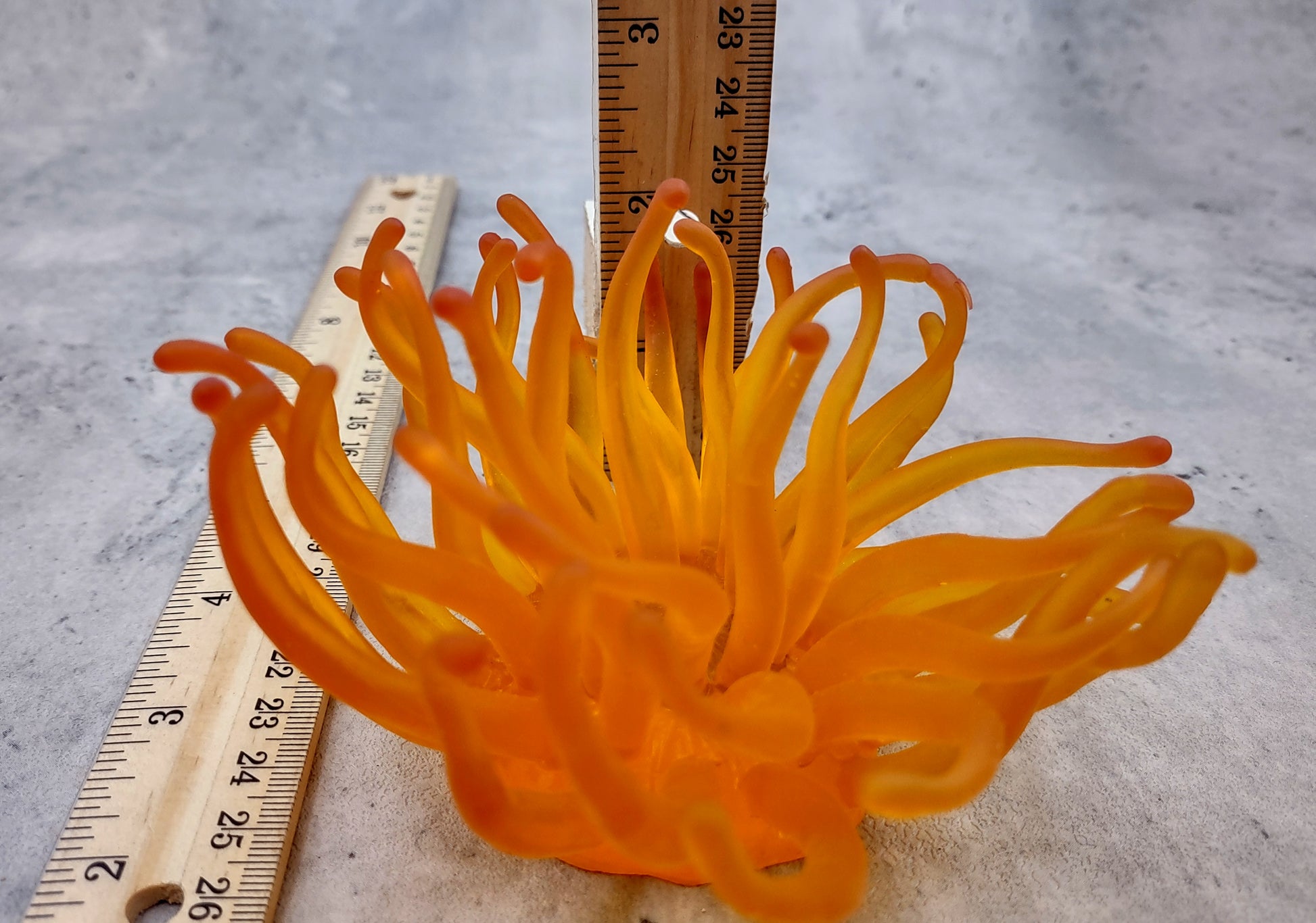 Condylactis Yellow FAUX Anemone - Condylactis Gigantea - (1 FAUX Anemone approx. 5x2.75x5 inches). Orange and yellow fake anemone with purple tipped tentacles. Copyright 2024 SeaShellSupply.com.
