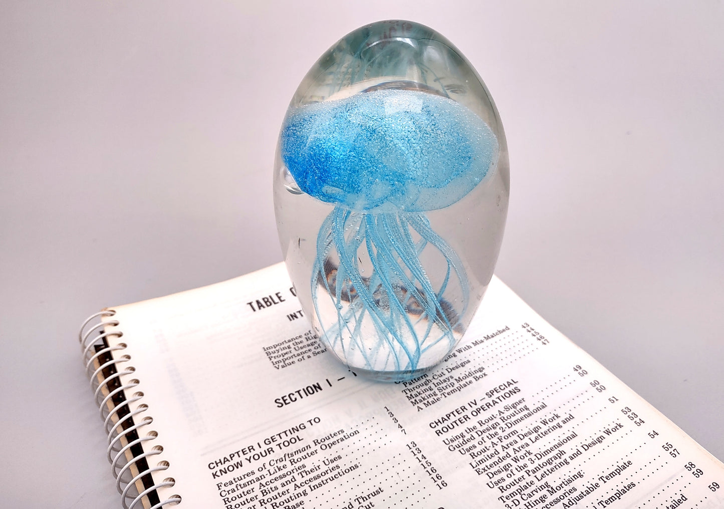 Jellyfish Glass Egg Light Blue Paperweight Glow In The Dark (1 figurine approx. 5 inches tall) Large Glass Sea Jellies make great gifts!