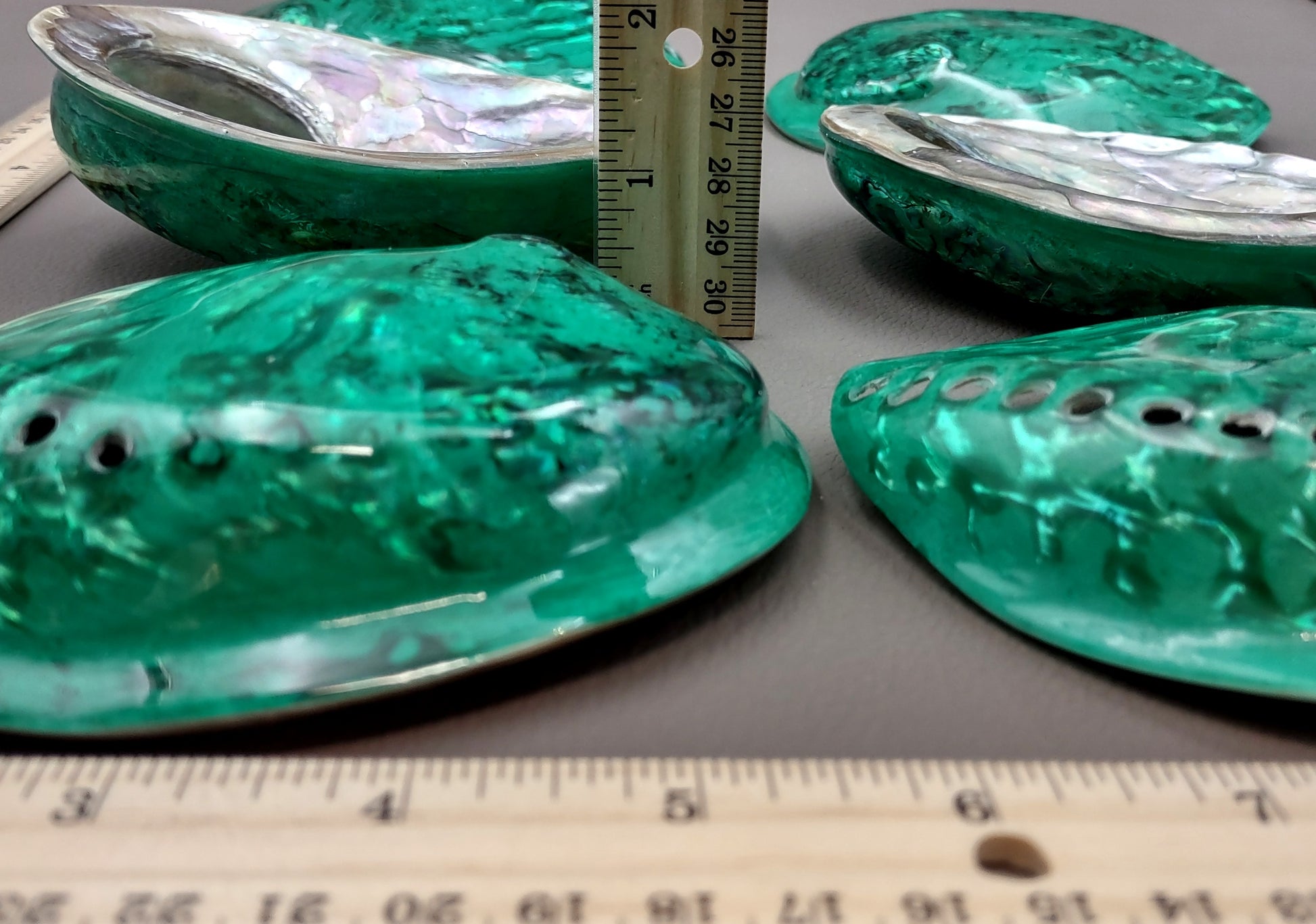 Polished Green Midas Abalone - Haliotis Midae - (1 shell approx. 5-6 inches). One pretty flat multi shaded green wide shell. Copyright 2022 SeaShellSupply.com.