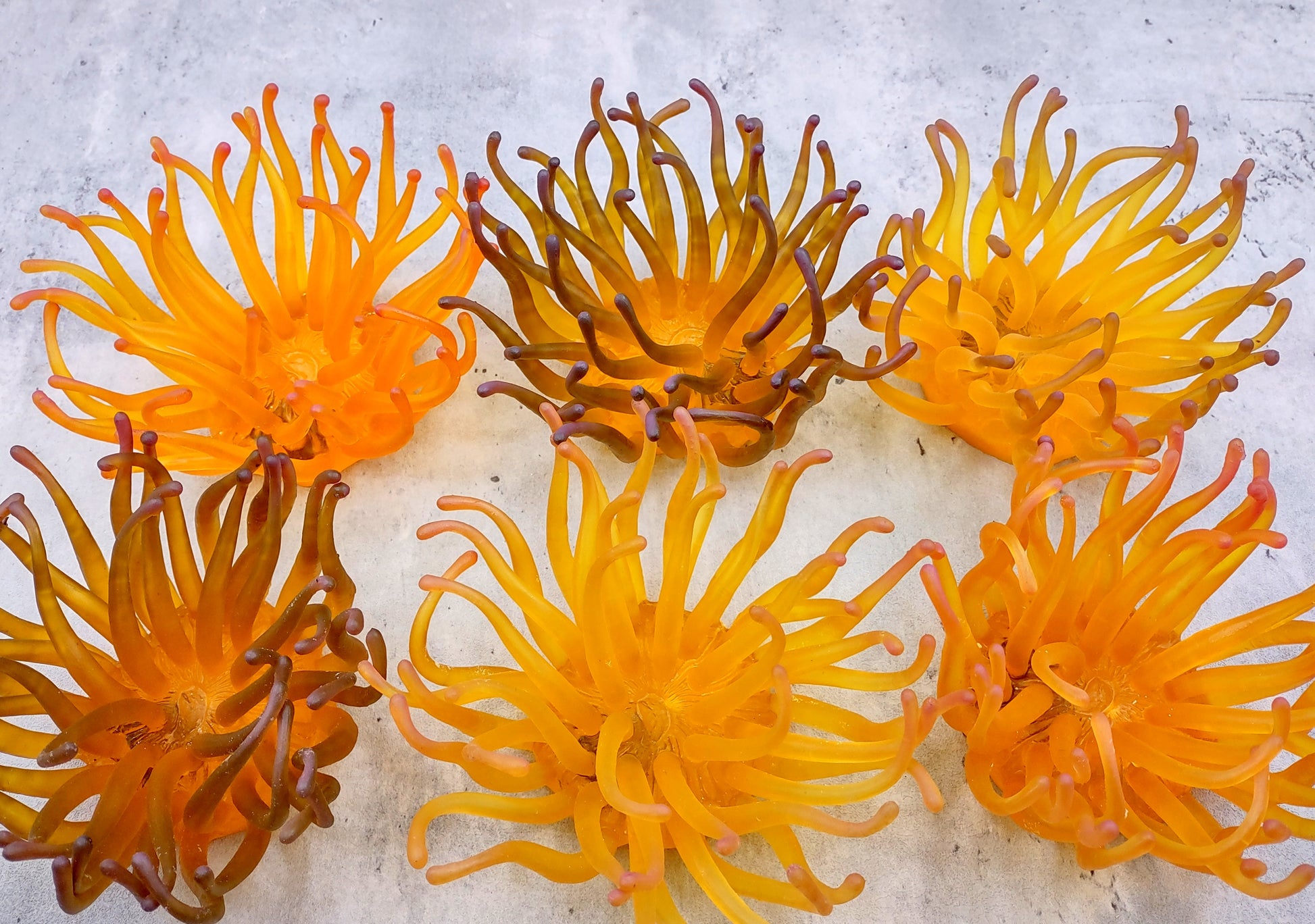 Condylactis Yellow FAUX Anemone - Condylactis Gigantea - (1 Anemone approx. 10x9x8 inches. A orange and yellow hinted stringy shiny fake anemone. Copyright 2024 SeaShellSupply.com.
