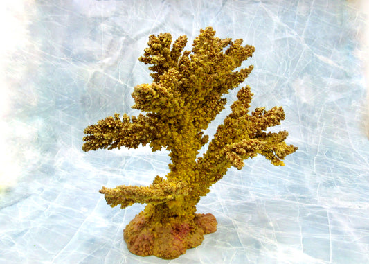 Yellow Tan FAUX Branch Coral Acropora Florida (1 FAKE Coral approx. 12Wx10Tx5D inches) Great coral for any coastal display or crafting!