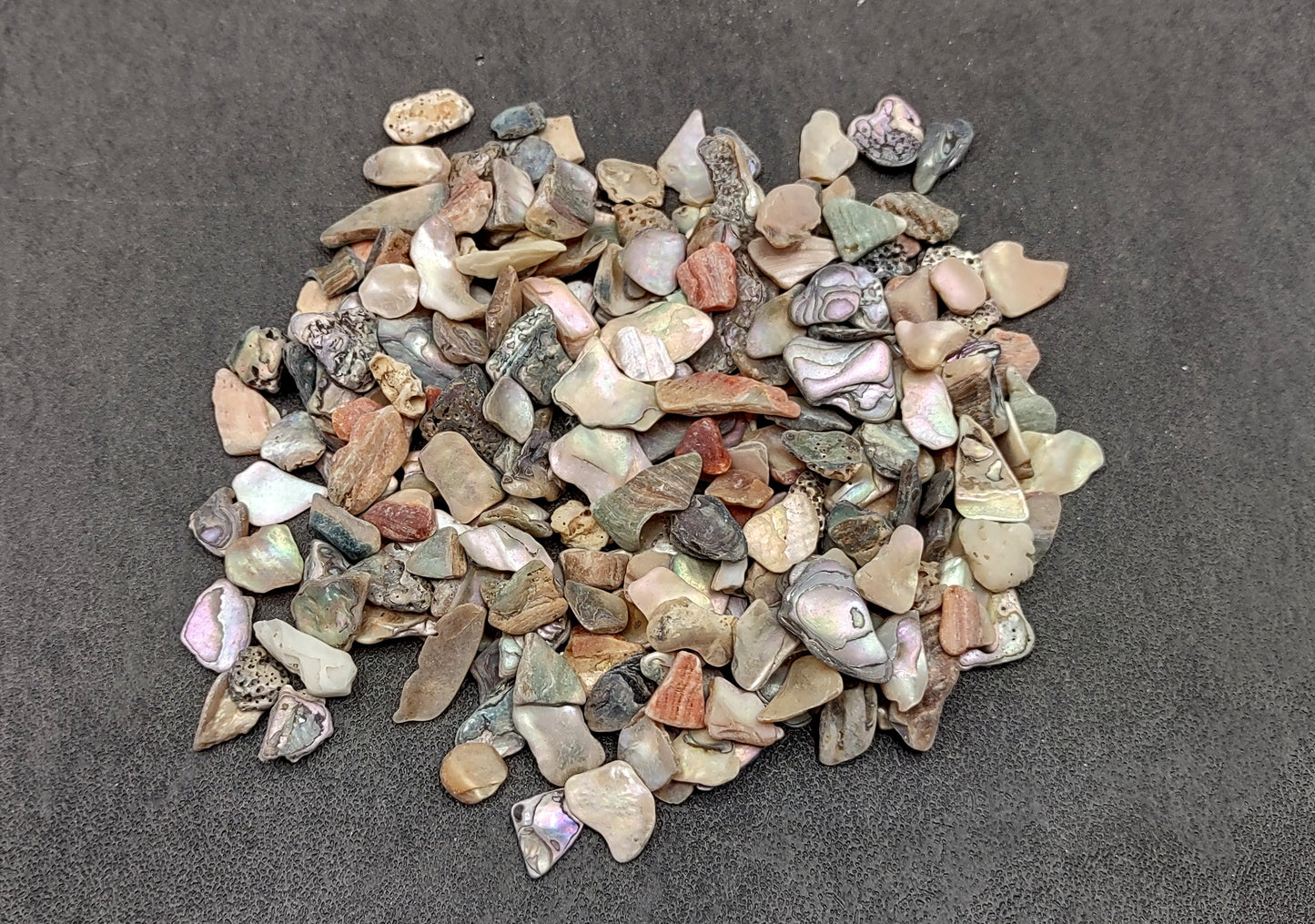 Abalone Seashell Chips (0.25 cup approx. 180+ chips 0.25+ inches) Iridescent shell chips for display crafts & collecting!