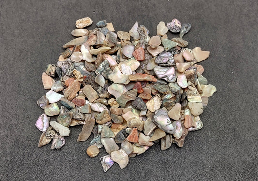 Abalone Seashell Chips (0.25 cup approx. 180+ chips 0.25+ inches) Iridescent shell chips for display crafts & collecting!