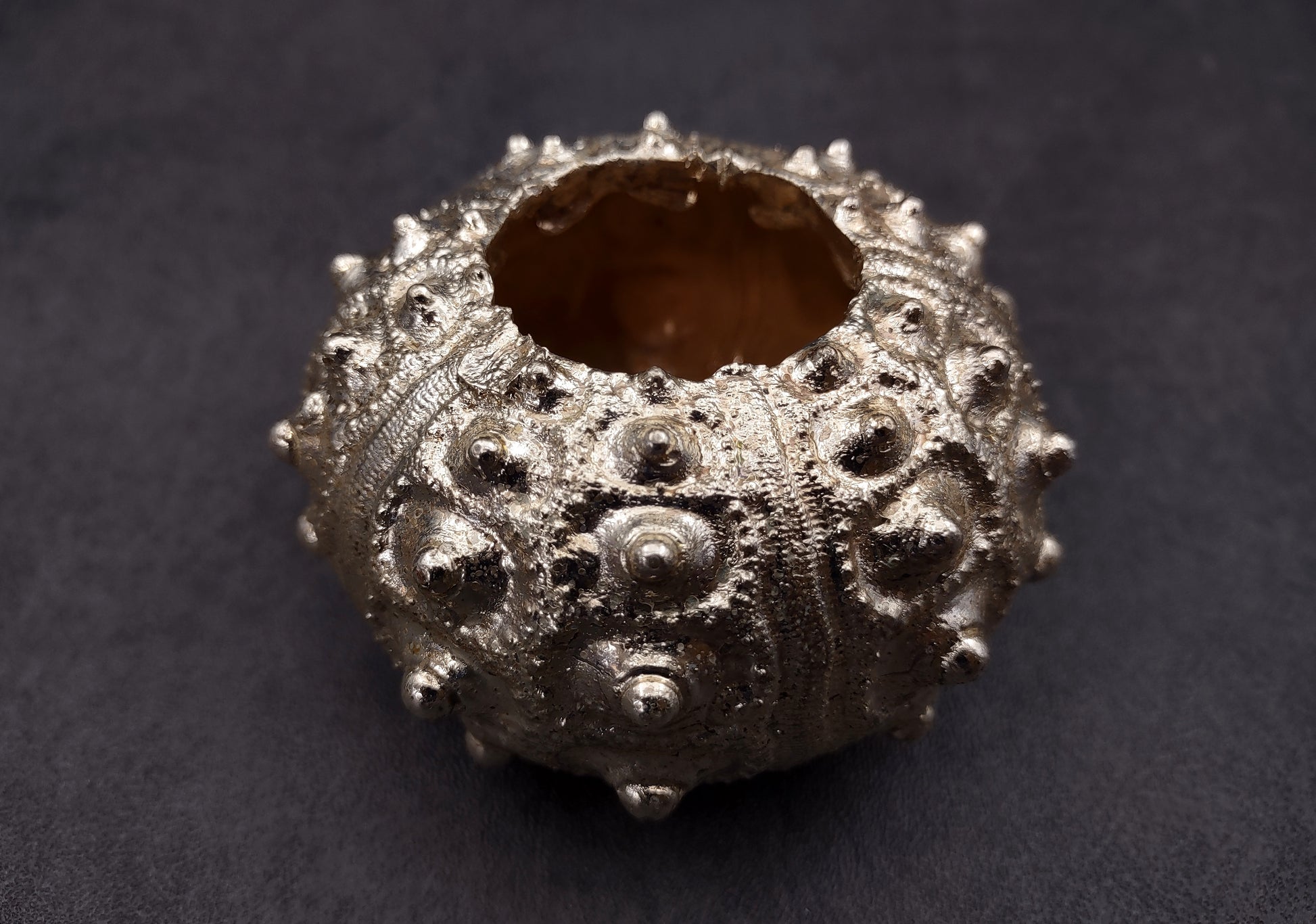 Silver-Plated Sputnik Urchin - Phyllacanthus imperialis - (1 Urchin approx. 2.5-3 inches) One silver plated urchin shell. Copyright 2024 SeaShellSupply.com