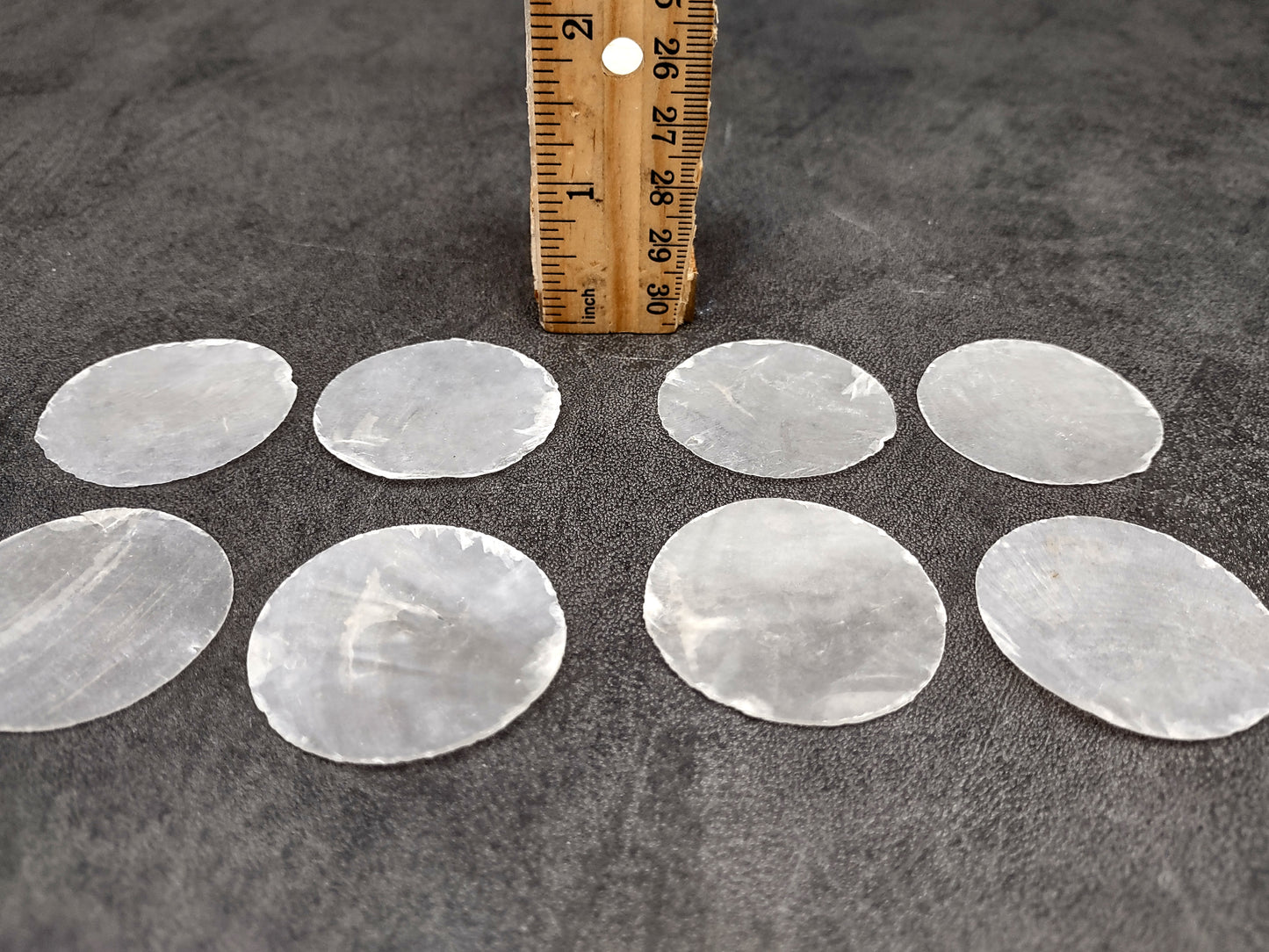 Capiz Round Cut Shells Placuna Placenta (10 approx. 1.5+ inches) Perfect shells for coastal crafting décor & collections! white translucent round thin sheets. Copyright 2024 SeaShellSupply.com