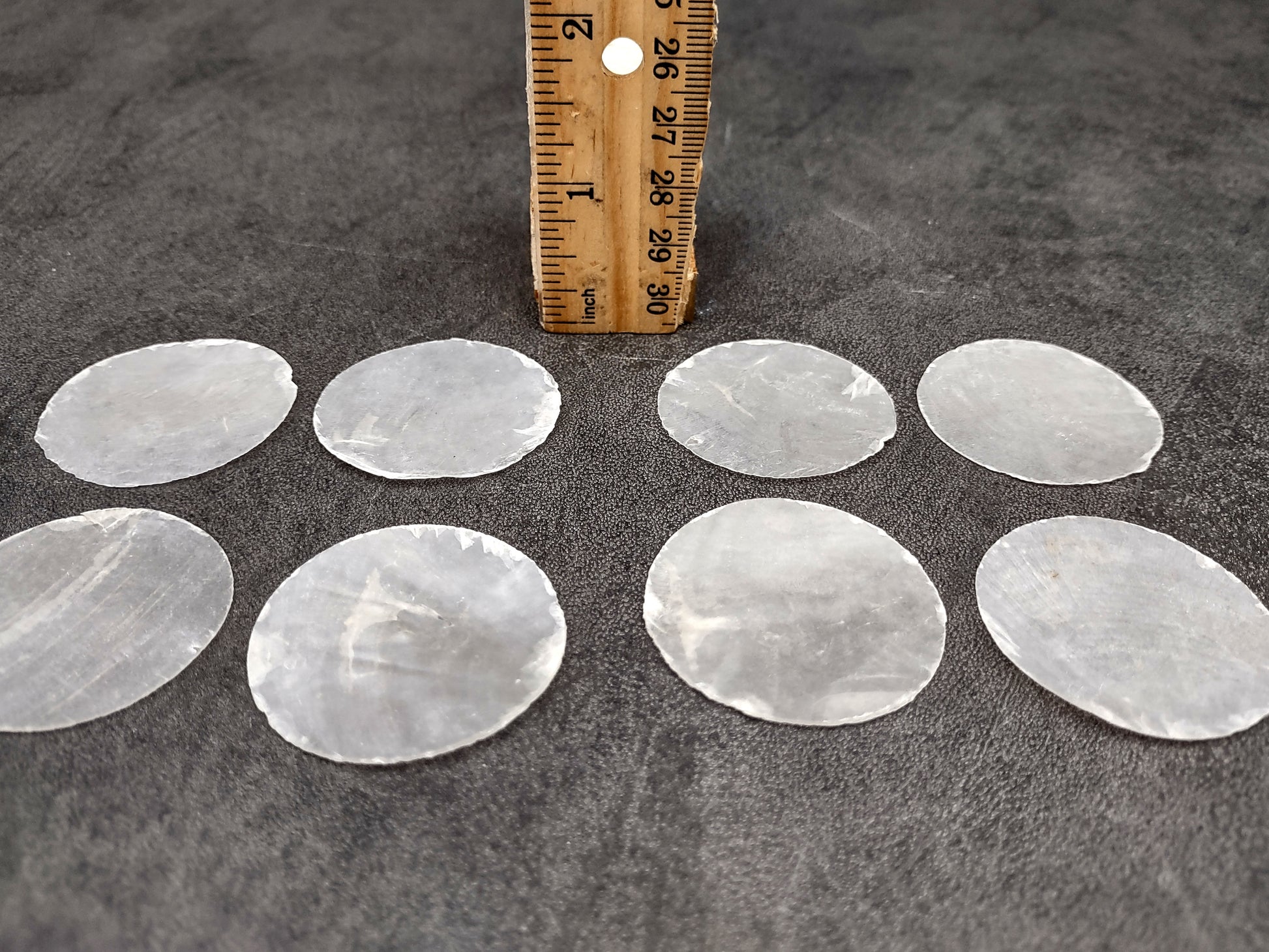 Capiz Round Cut Shells Placuna Placenta (10 approx. 1.5+ inches) Perfect shells for coastal crafting décor & collections! white translucent round thin sheets. Copyright 2024 SeaShellSupply.com
