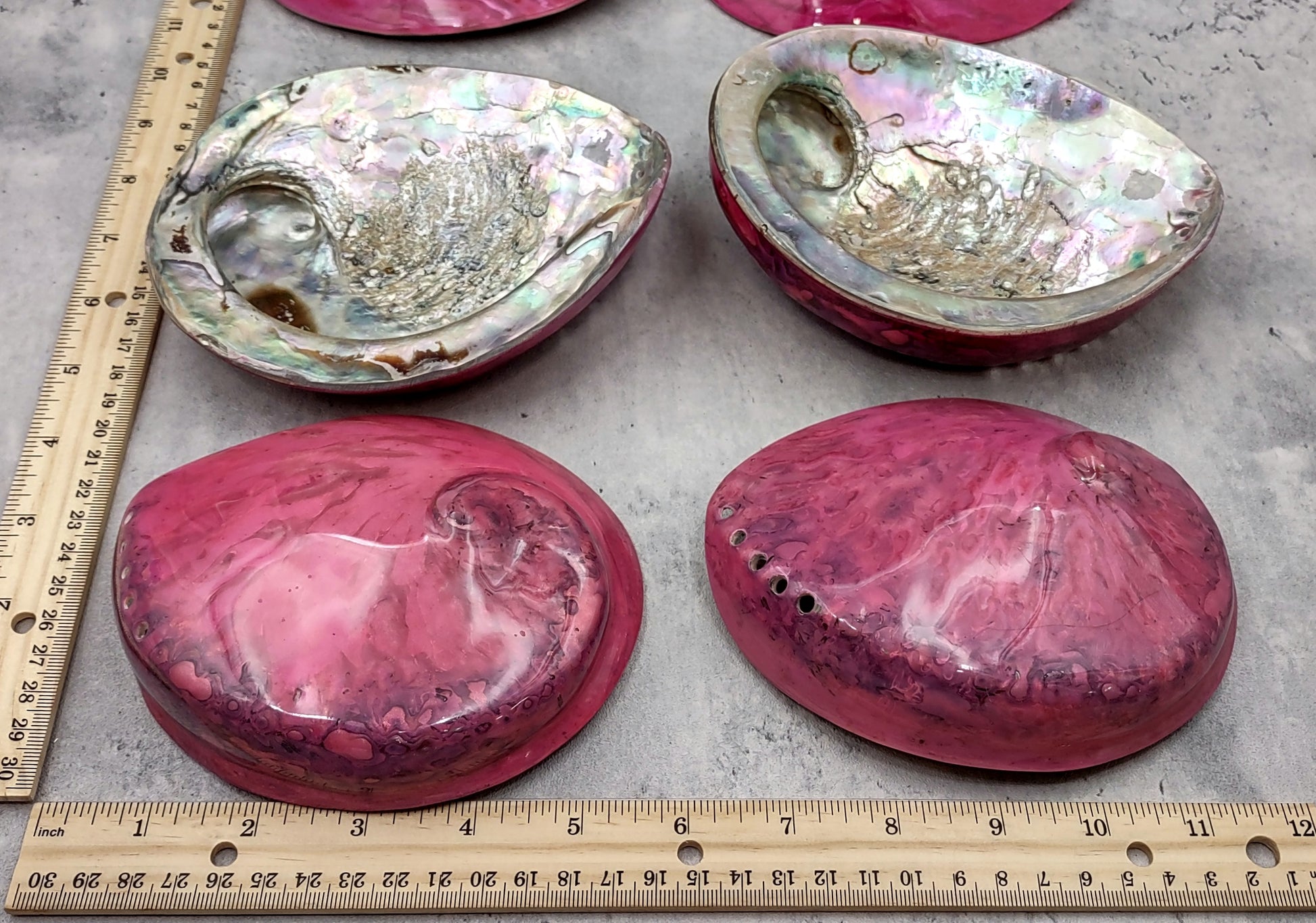 Polished Pink Midas Abalone - Haliotis Midae - (1 shell approx. 5-6 inches). One pink spiral glazed shell with wide opening and small spiral off to one side. Copyright 2022 SeaShellSupply.com.