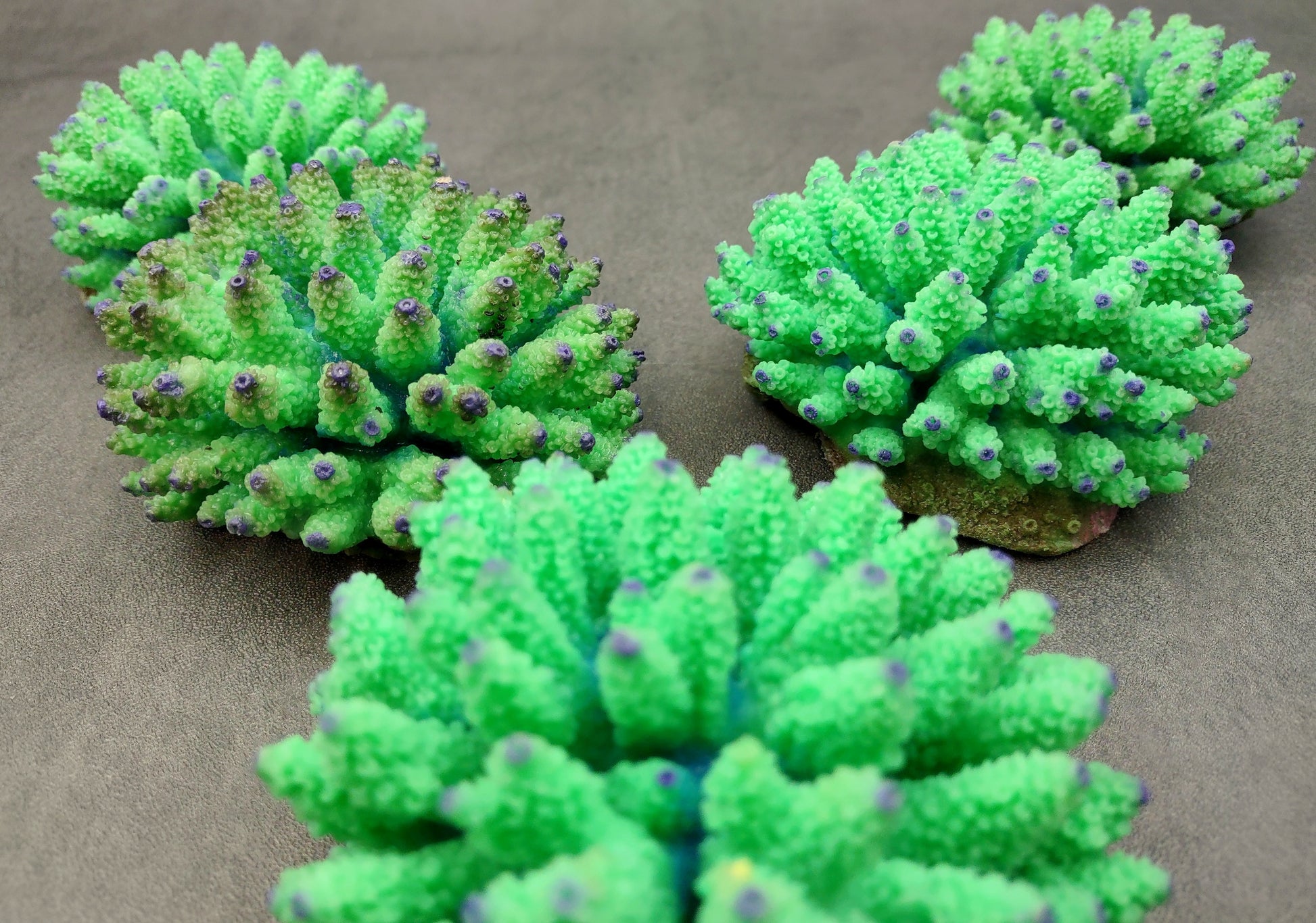 Green FAUX Finger Coral - Acropora Nasuta - (1 FAUX Coral approx. 4Wx3Tx4D inches) on light background. Copyright 2024 SeaShellSupply.com.