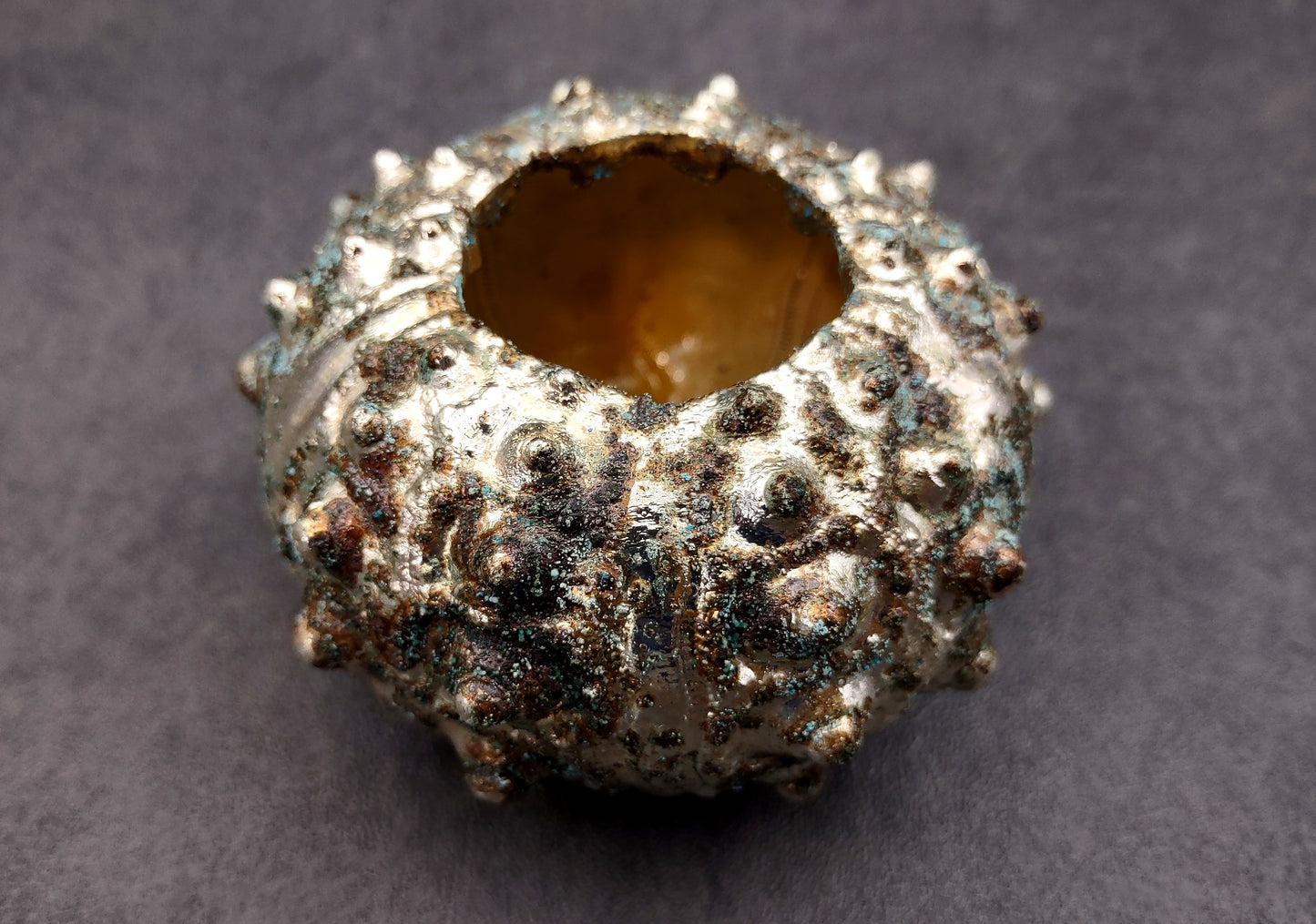 Silver-Plated Sputnik Urchin - Phyllacanthus imperialis - (1 Urchin approx. 2.5-3 inches) One silver plated urchin shell. Copyright 2024 SeaShellSupply.com
