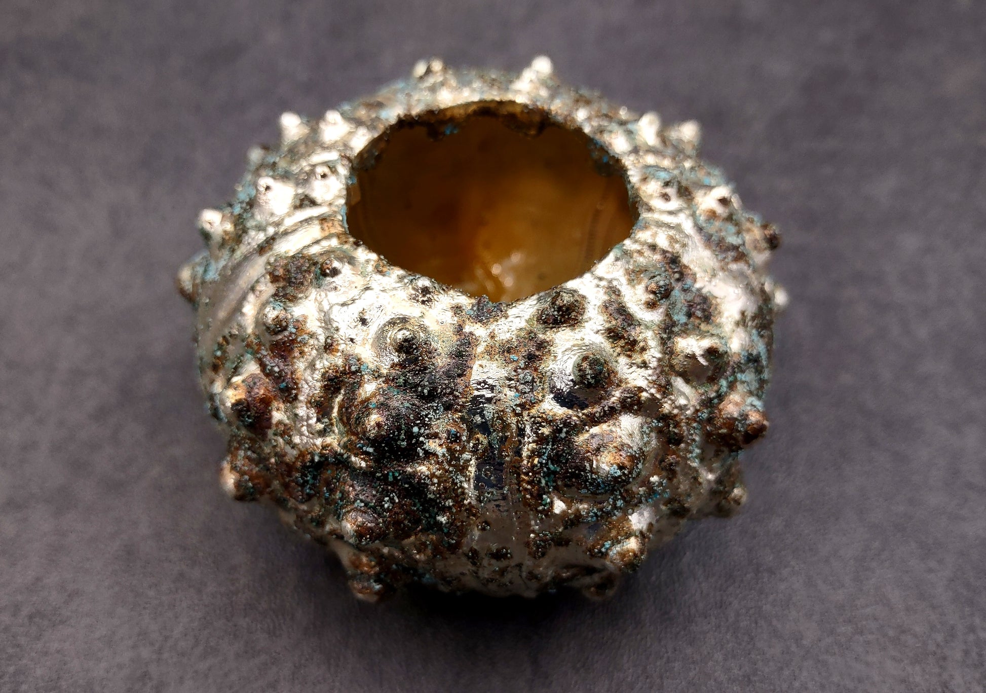 Silver-Plated Sputnik Urchin - Phyllacanthus imperialis - (1 Urchin approx. 2.5-3 inches) One silver plated urchin shell. Copyright 2024 SeaShellSupply.com