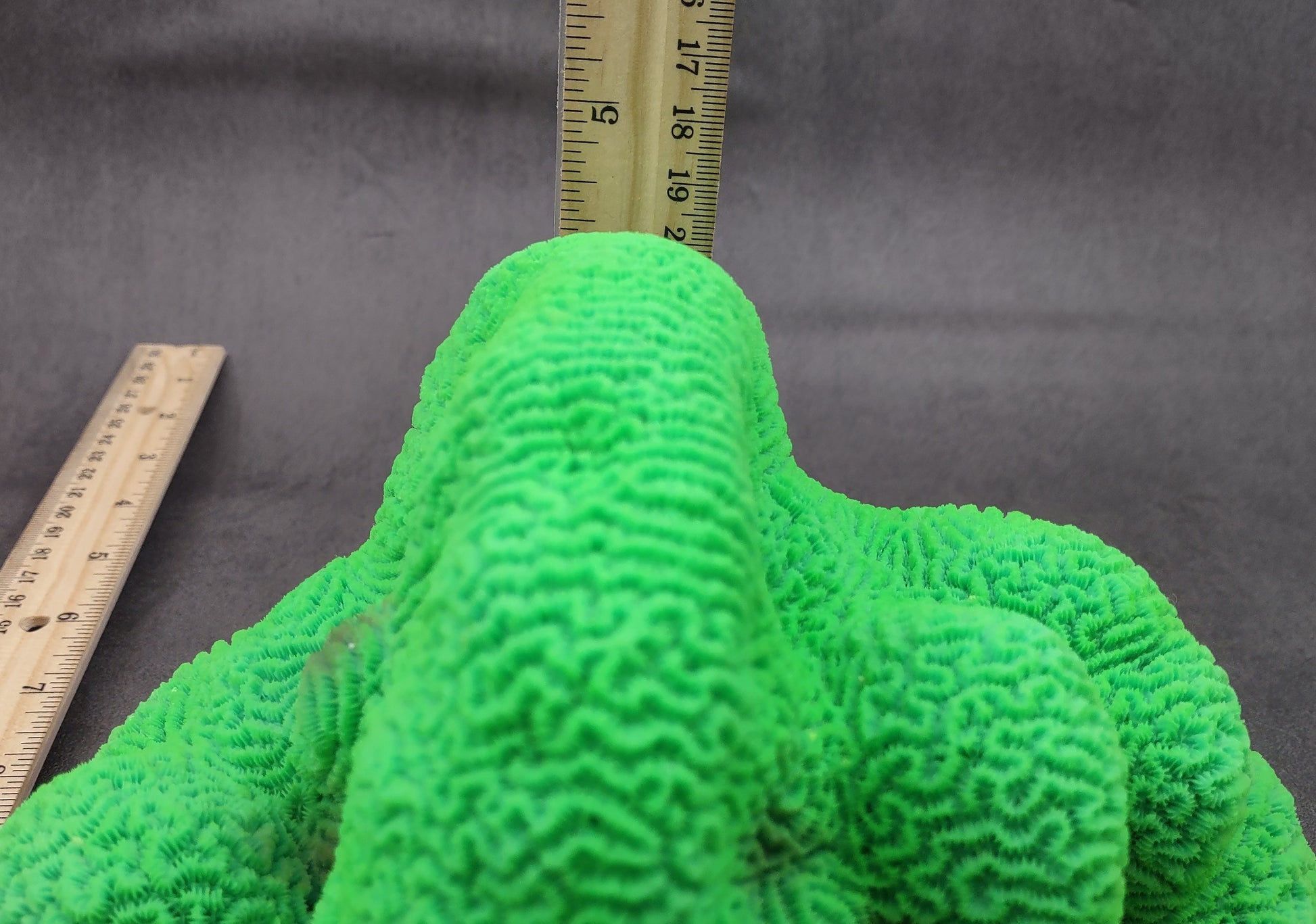 Bright Green FAUX Brain Coral - Lobophyllia Hemprichii - (1 FAUX Coral approx. 8.5x5x5.5 inches). Green almost squishy looking maze patterned coral known as brain coral. Copyright 2024 SeaShellSupply.com.
