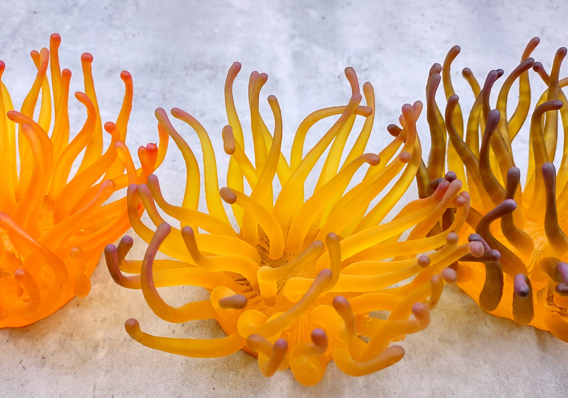 Condylactis Yellow FAUX Anemone - Condylactis Gigantea - (1 Anemone approx. 10x9x8 inches. A orange and yellow hinted stringy shiny fake anemone. Copyright 2024 SeaShellSupply.com.