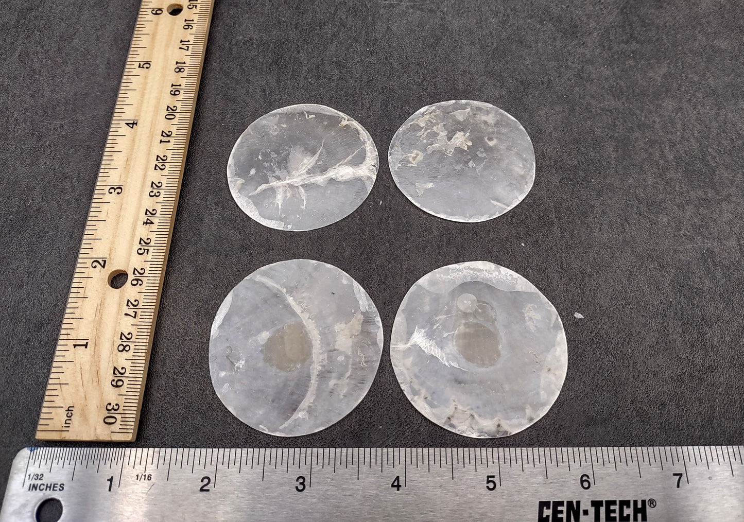 Capiz Round Cut Seashells Placuna Placenta (10 shells approx. 2+ inches) Swell shells for coastal crafting décor & collections!