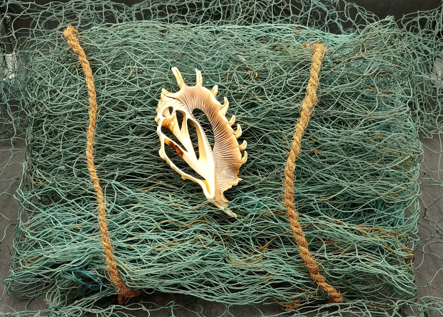 Blue Green Fishing Net (1 net approx. 4x9 feet) Recycled authentic fish net for ocean displays arts crafts & nautical themed parties!
