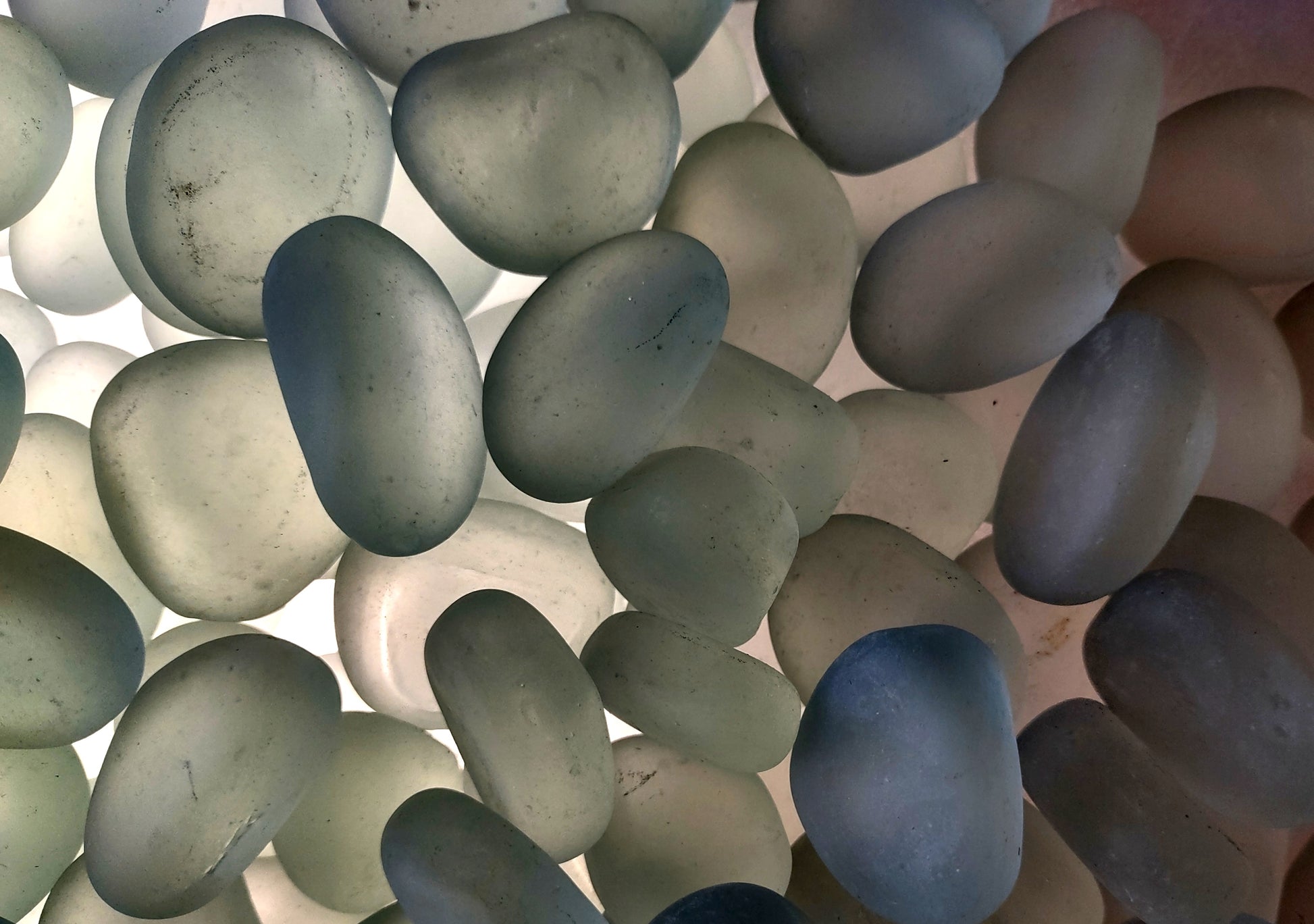 Beach Glass - Rounded Clear-White Frosted Pebbles - (approx. 1 Kilogram/2.2 lbs. 1-1.5 inches). Multiple lightly colored shells in a pile. Copyright 2024 SeaShellSupply.com.