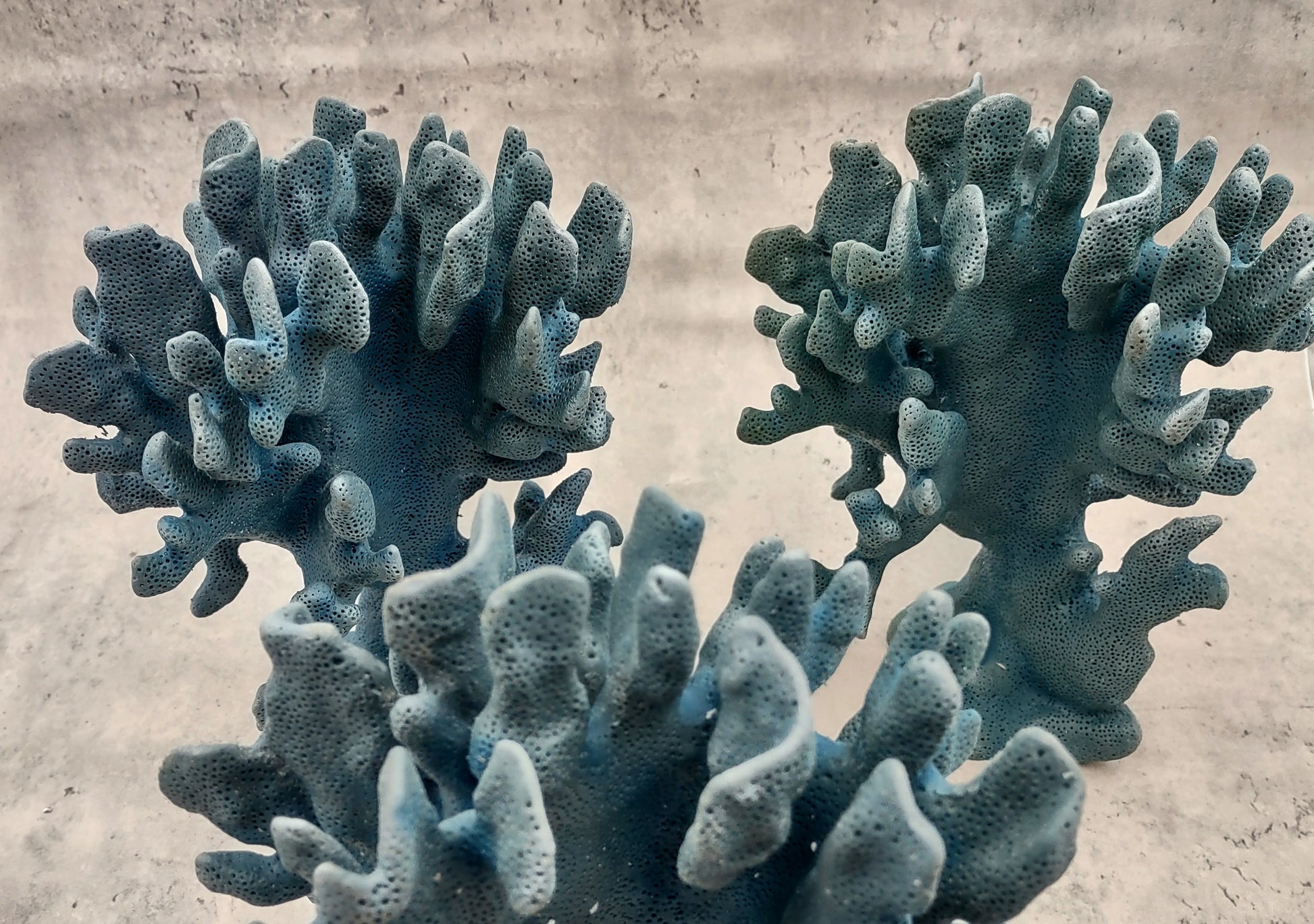 Blue Ridge FAUX Coral - Helio Coerula - (1 FAUX Coral approx. 8Wx4Dx6T inches). Blue coral with a deep texture and wide sturdy base. Copyright 2024 SeaShellSupply.com.