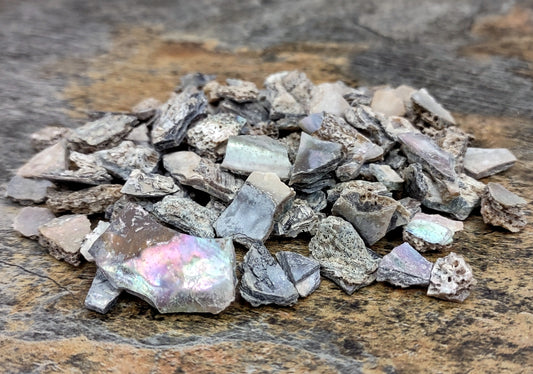 Pink Abalone Seashell Chips (approx. 0.25 cup 170+ chips 0.25+ inches) Great chip pack for coastal crafting arts & displays!