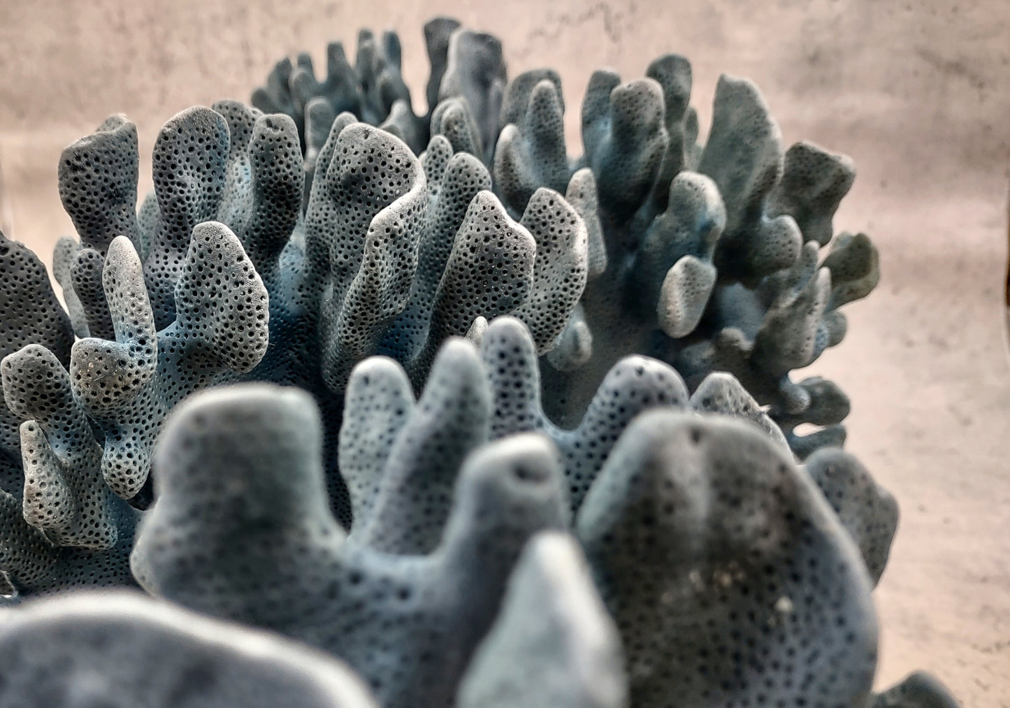 Blue Ridge FAUX Coral - Helio Coerula - (1 FAUX Coral approx. 8Wx4Dx6T inches). Blue coral with a deep texture and wide sturdy base. Copyright 2024 SeaShellSupply.com.